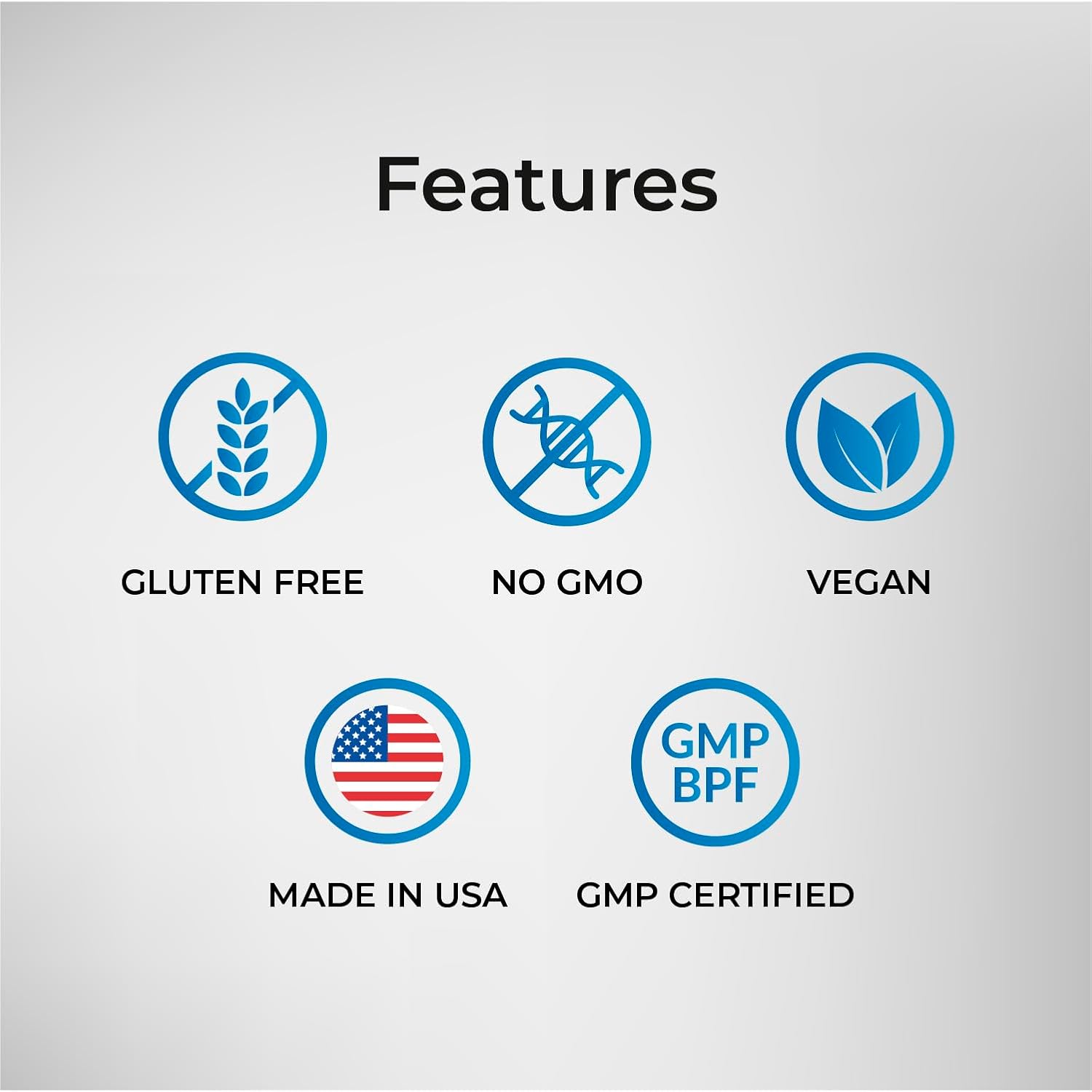 Organic Chocolate Vegan Protein Powder with 22g Plant Based Protein for Muscle Support and Recovery - Made in USA, Non-GMO, Gluten Free