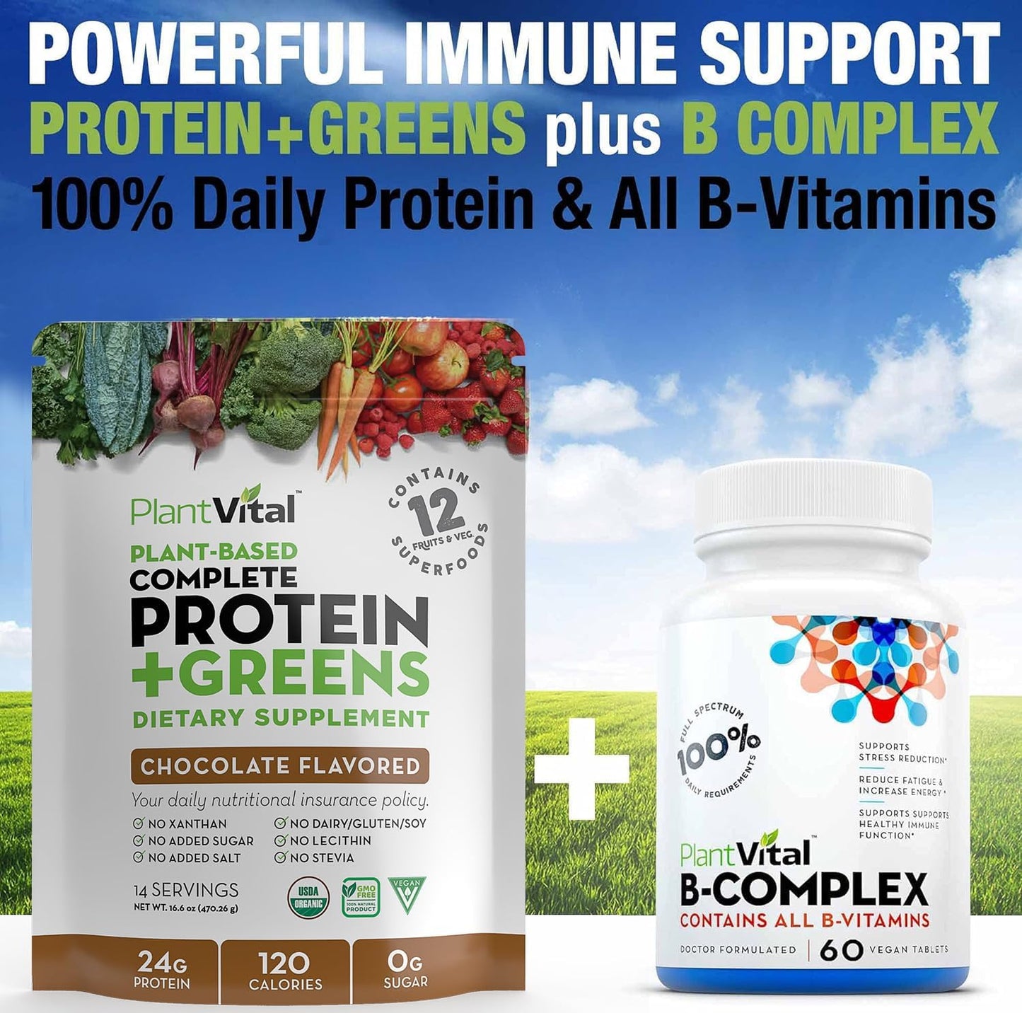 Organic Chocolate Vegan Protein Powder with Superfoods, Veggies, and Probiotics - 24g Protein, 0g Sugar, Keto-Friendly - 32oz