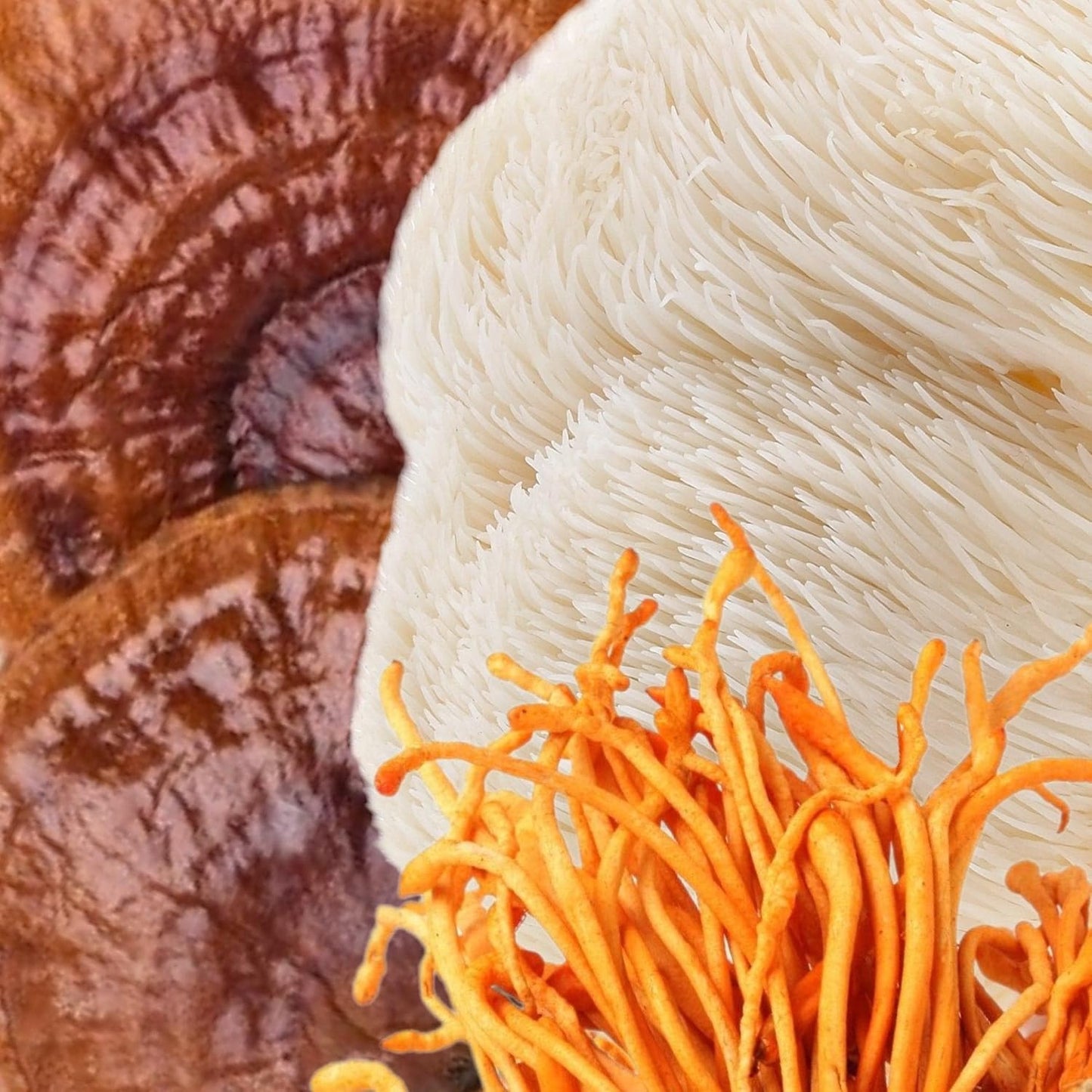 Organic Clarity Mushroom Capsules - Lions Mane, Reishi, Cordyceps Blend | Boost Focus, Memory, Vitality | High Potency Cognitive Function Supplement - 60ct