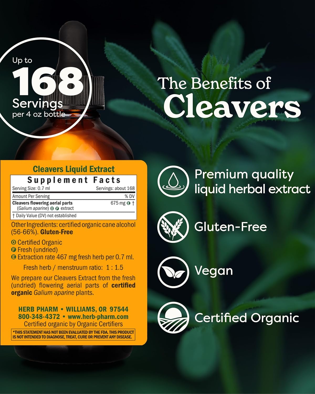 Organic Cleavers Liquid Extract - 4 fl oz by Herb Pharm