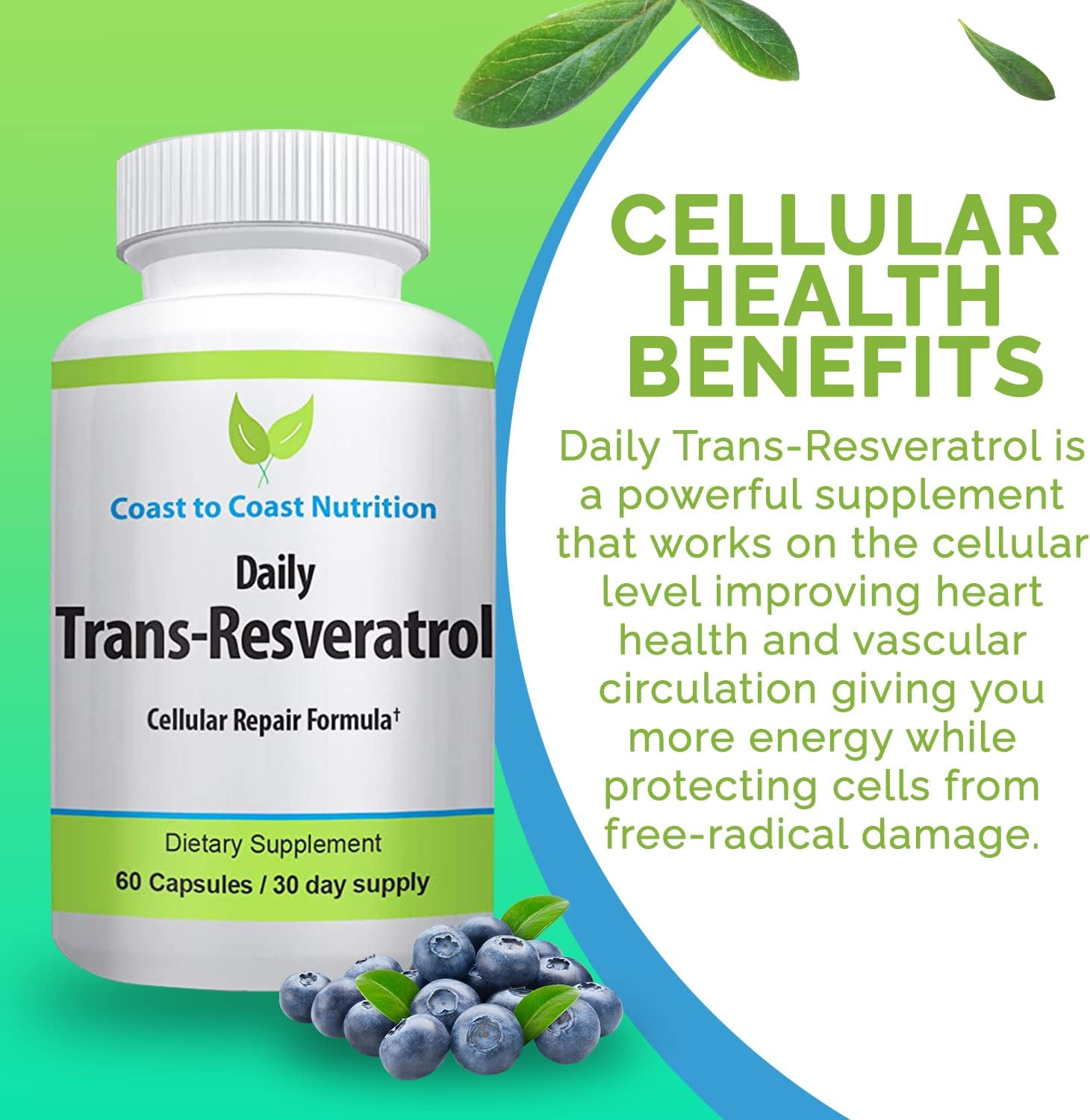 Organic Coast to Coast Trans-Resveratrol Capsules - Vegan Polyphenol Supplement for Anti Aging - 60 Caps, 600mg, 30 Day Supply