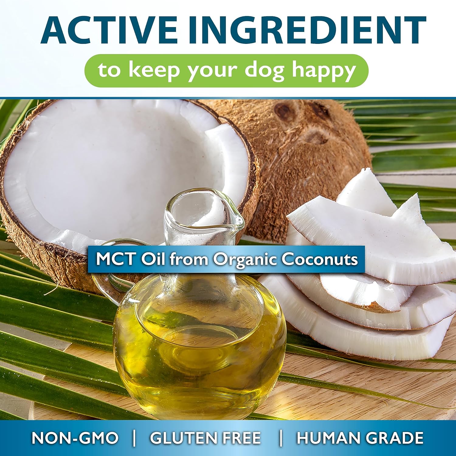 Organic Coconut MCT Oil for Dogs: Skin & Coat Protection, Immune Boost, Metabolism Support - 90 Soft Gels