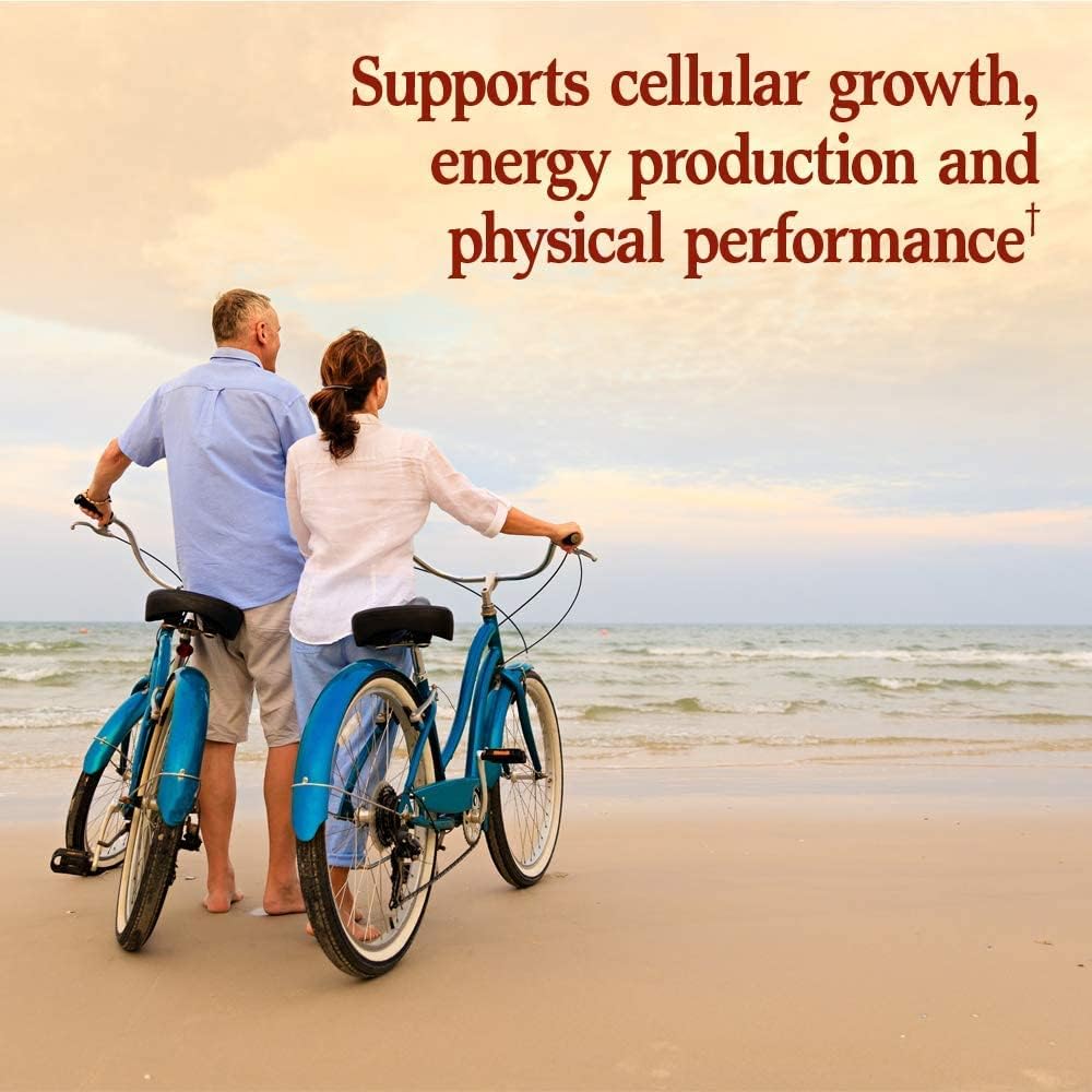 Organic CoQ10 & Vegetarian Omega 3 6 9 Supplement for Heart Health - 60 Capsules