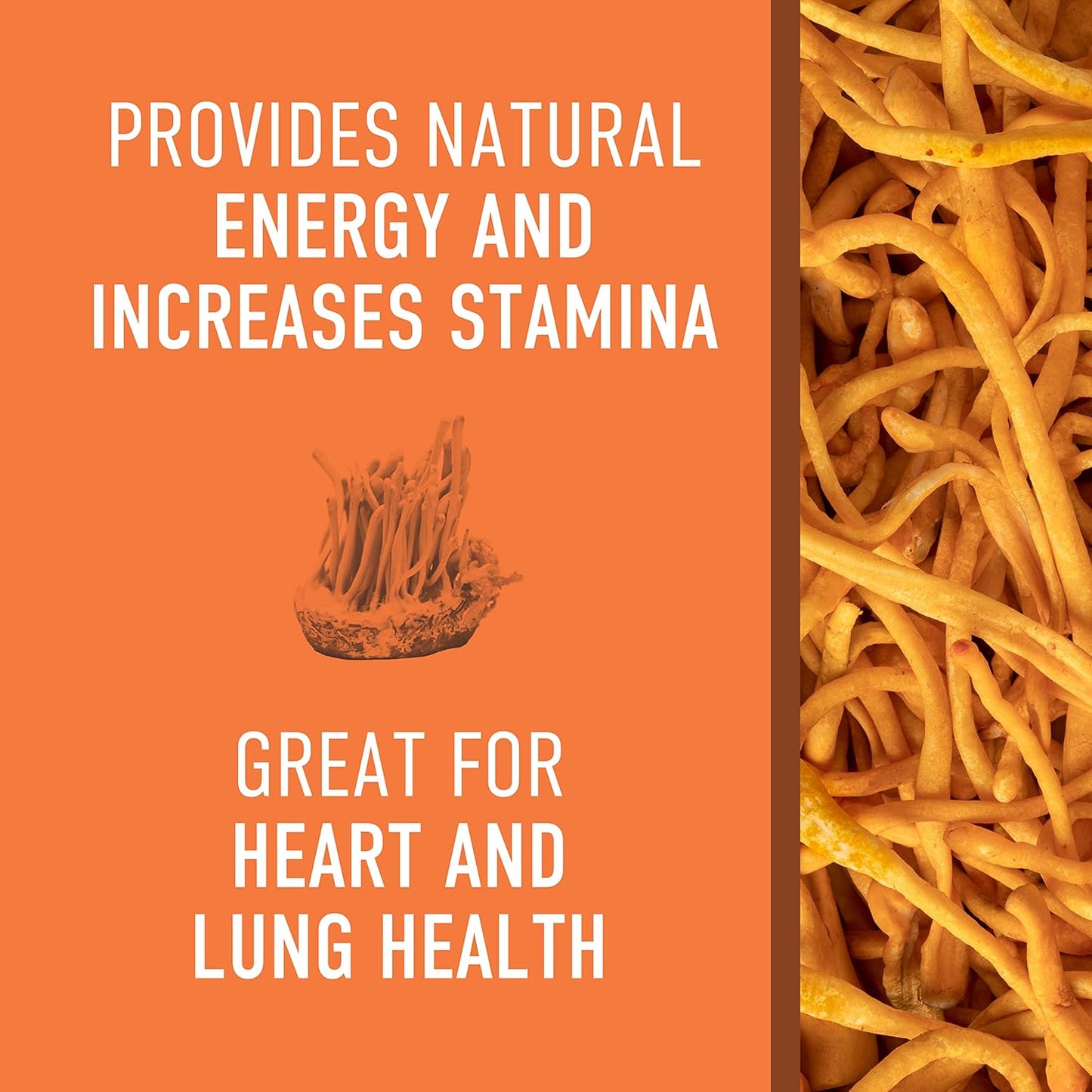 Organic Cordyceps Mushroom Powder Supplement for Energy, Stamina, and Endurance - 45g, 30 Servings - Energize and Boost Your Performance