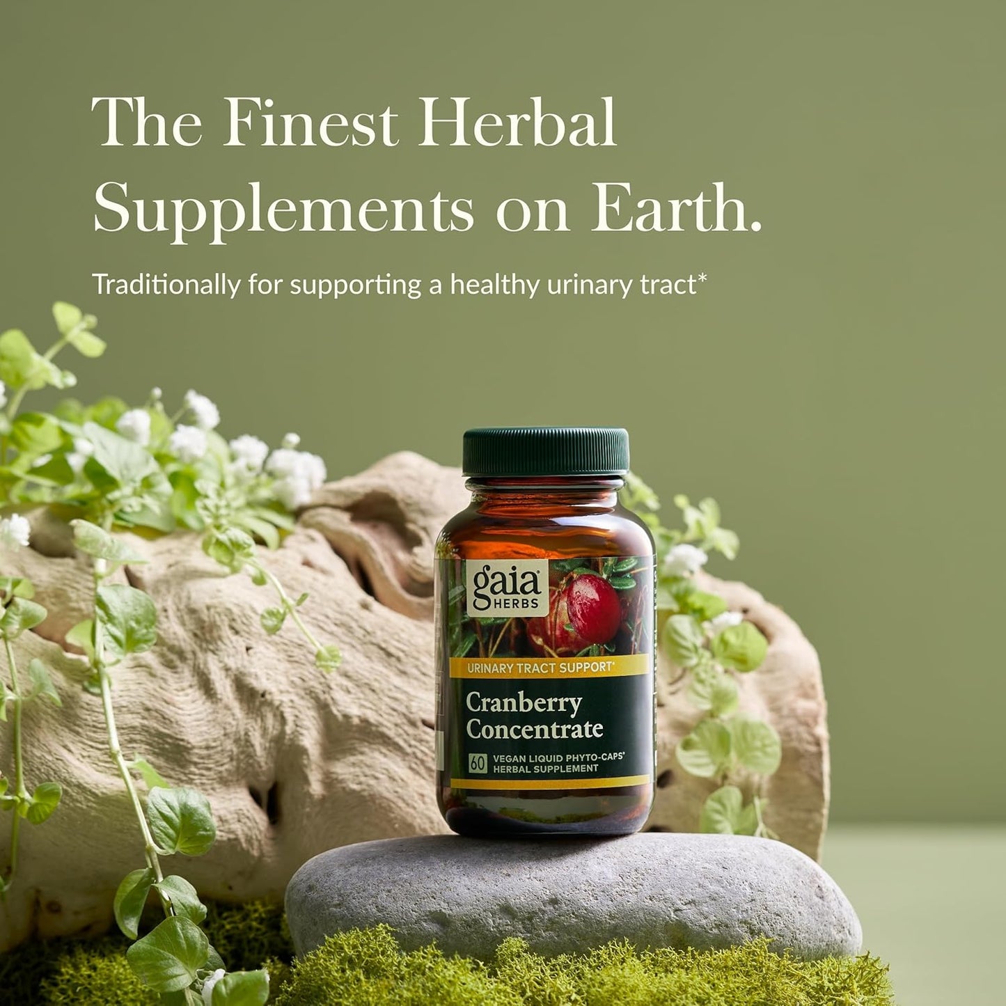 Organic Cranberry Concentrate Capsules for Urinary Tract Health - Vegan Liquid Phyto-Caps with Organic Cranberry Juice Extract - 60 Capsules