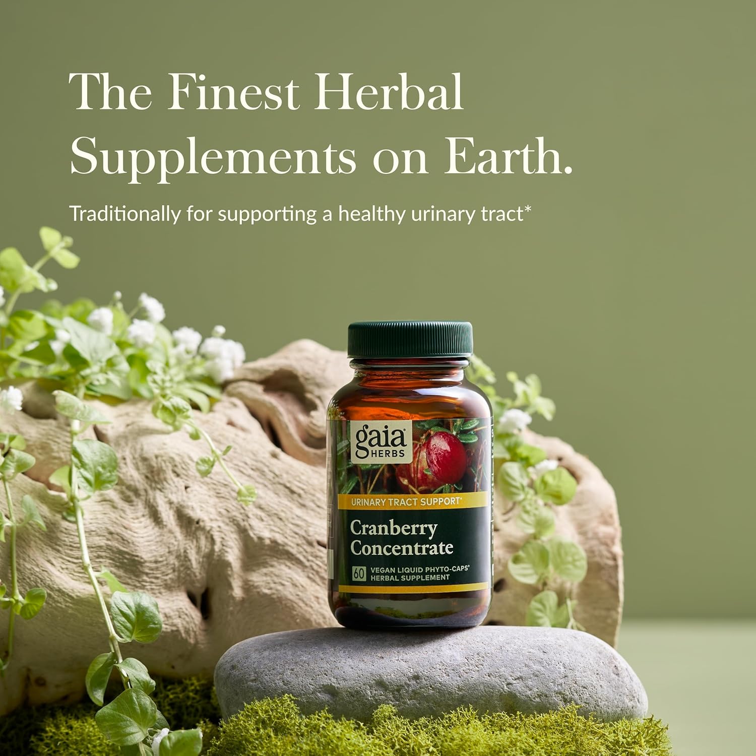 Organic Cranberry Concentrate Capsules for Urinary Tract Health - Vegan Liquid Phyto-Caps with Organic Cranberry Juice Extract - 60 Capsules