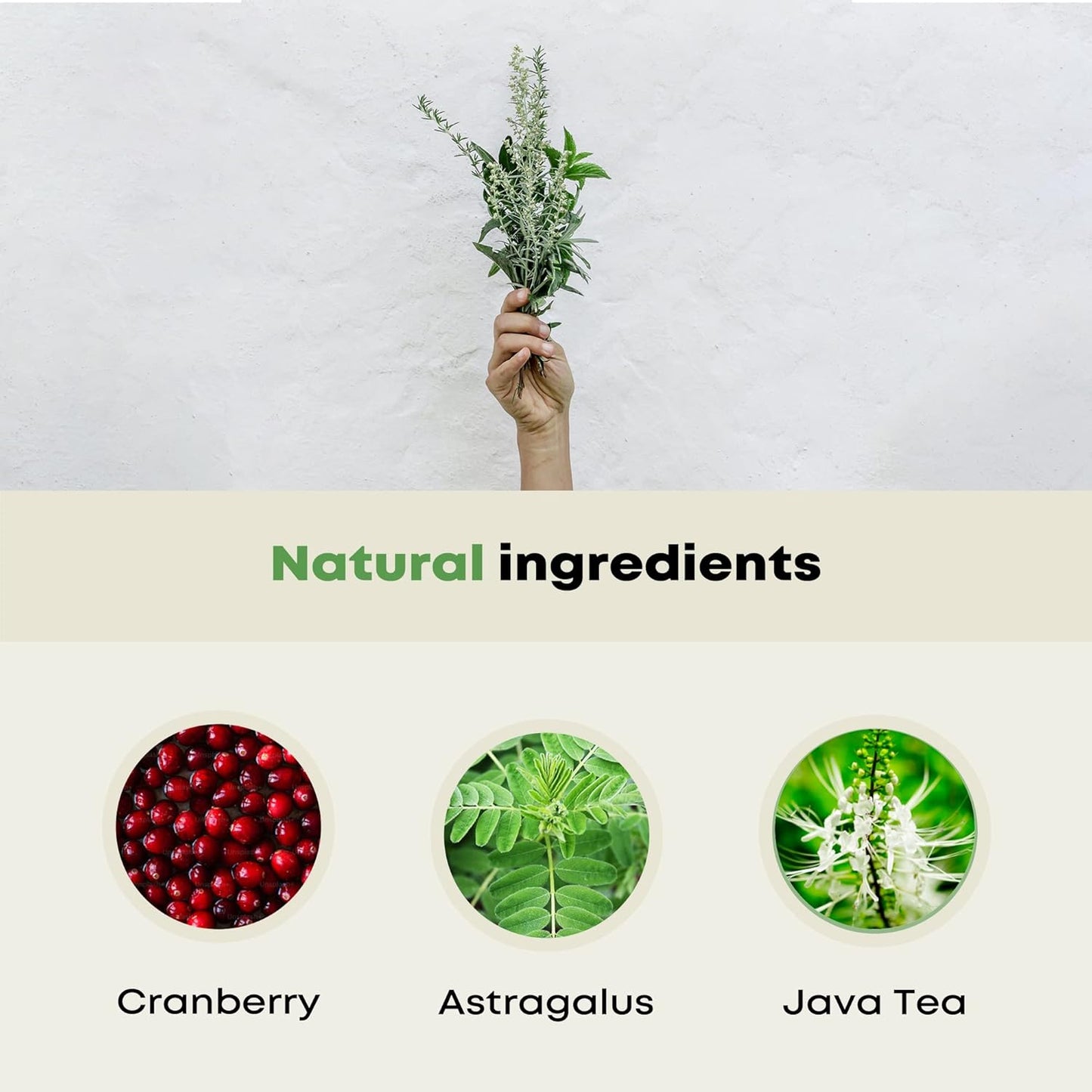 Organic Cranberry Kidney Cleanse Supplement - Supports Bladder & Urinary Tract Health - Natural Detox for Men & Women - GMP Certified - 60 Capsules