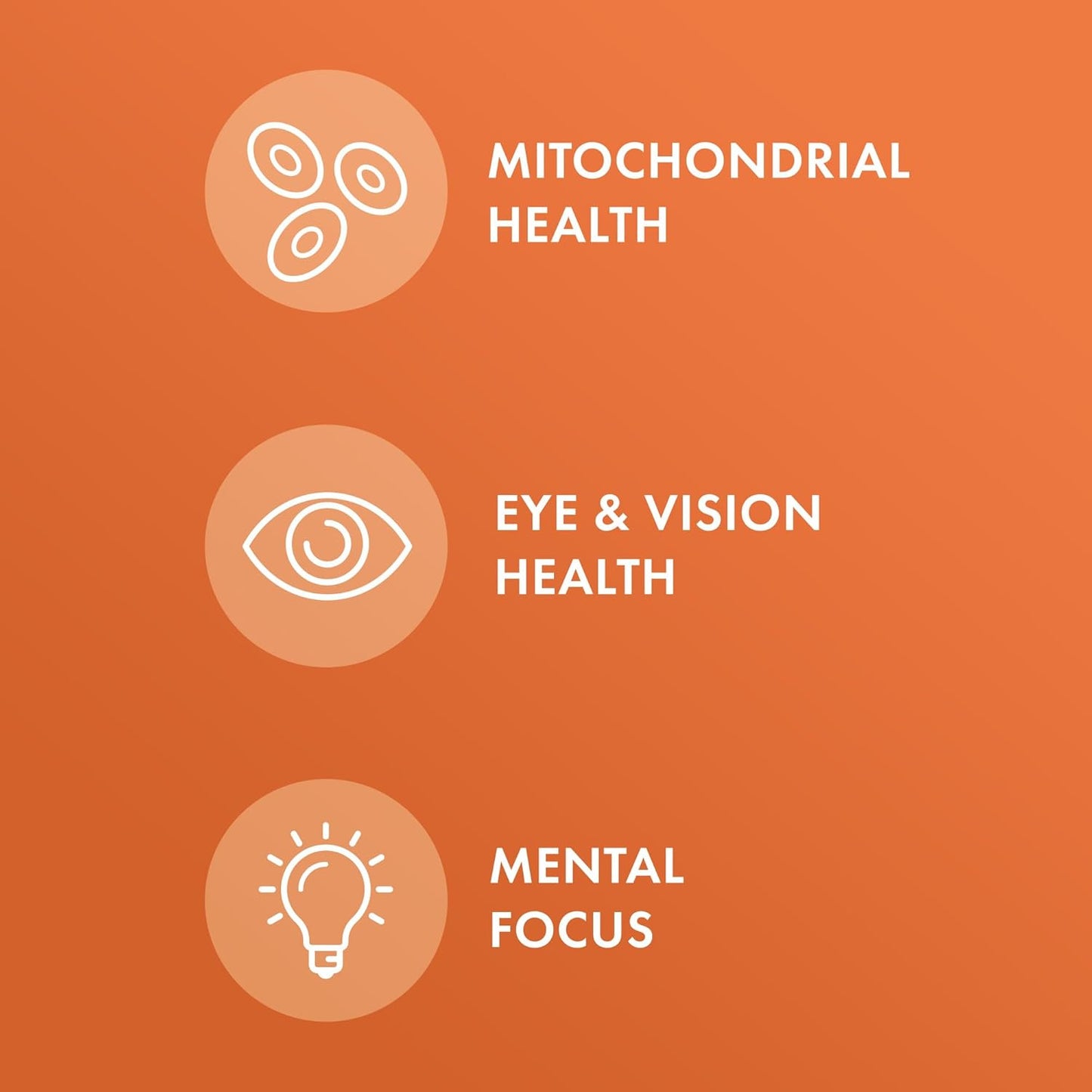 Organic Curcumin Extract Dietary Supplement - Dr. Mercola, 90 Tablets, Non-GMO, Certified USDA Organic, Promotes Healthy Inflammatory Response