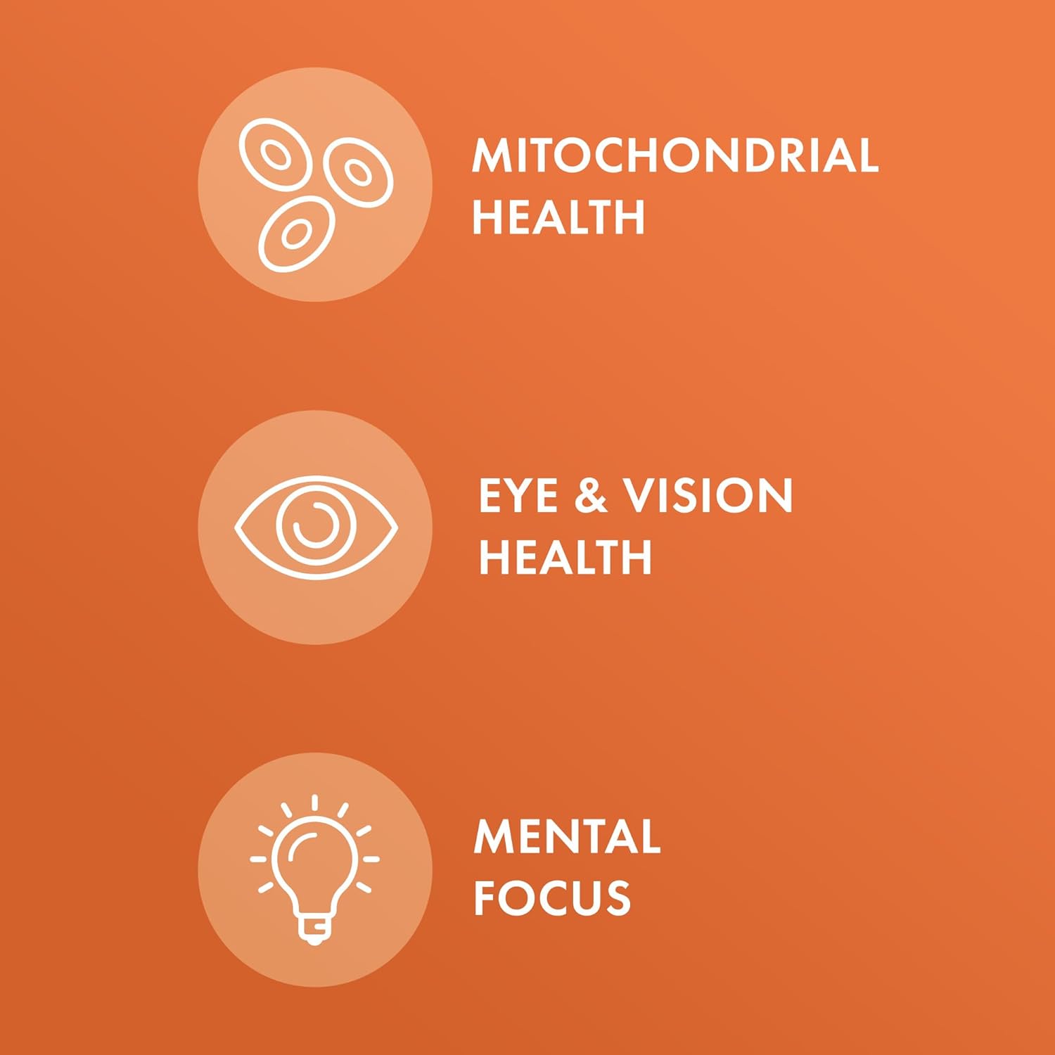 Organic Curcumin Extract Dietary Supplement - Dr. Mercola, 90 Tablets, Non-GMO, Certified USDA Organic, Promotes Healthy Inflammatory Response