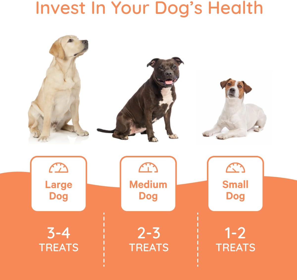 Organic Dog Electrolyte & Joint Supplement with Peanut Butter Flavor | All Natural Dog Vitamins for Inflammation & Mobility Support