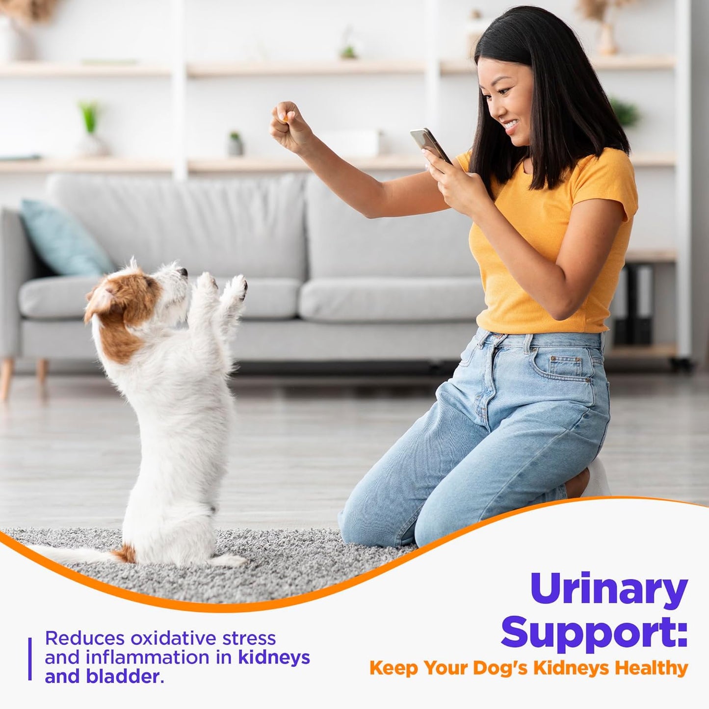 Organic Dog UTI Incontinence Supplement with Cranberry & Antioxidants - Bladder Control for Dogs - 120 Tablets, USA Made