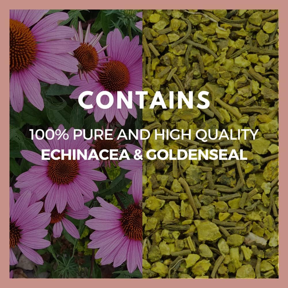 Organic Echinacea & Goldenseal Capsules | 1,000mg, 60 Vegan Pills | Herbal Dietary Supplement | Non-GMO, Gluten-Free, Dairy-Free