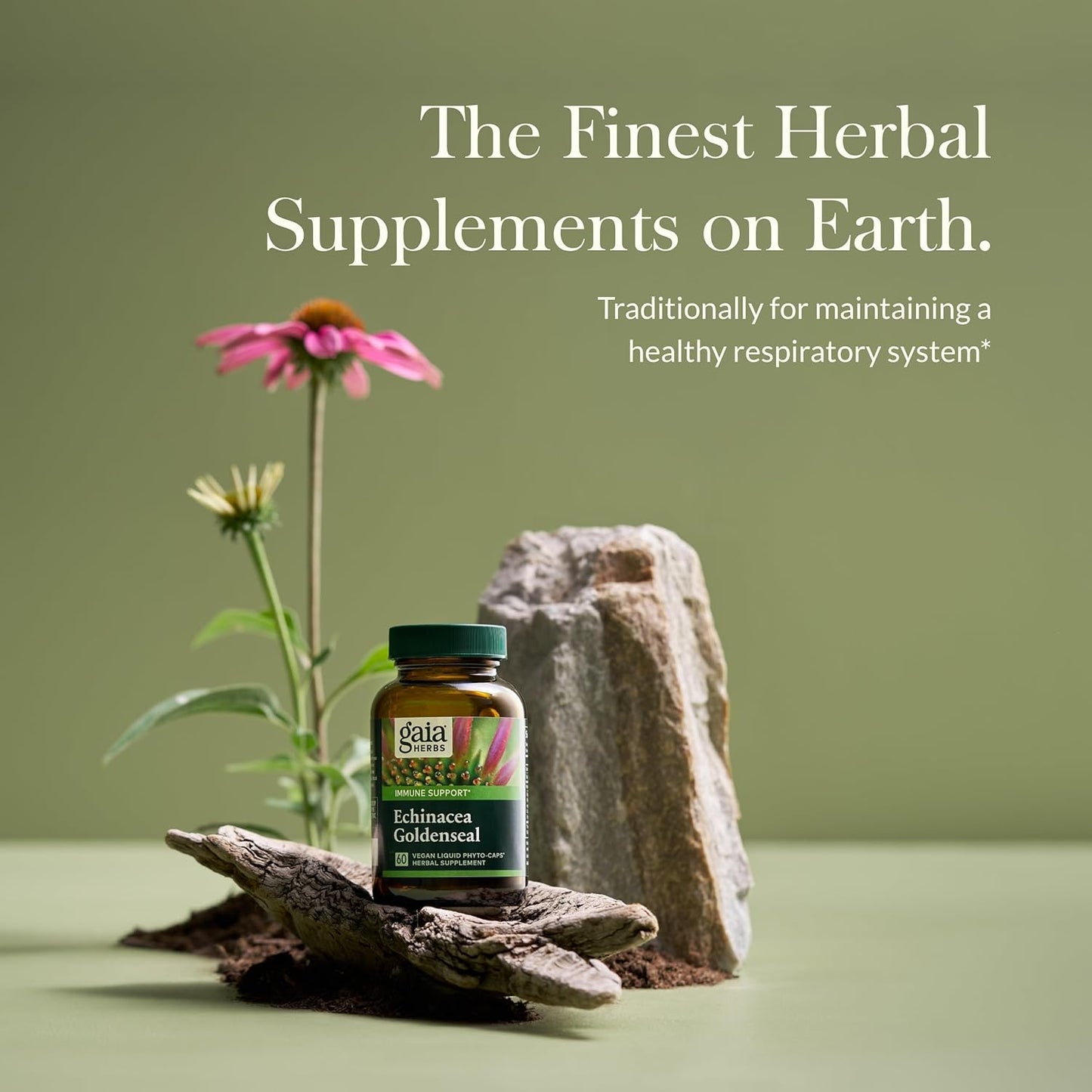 Organic Echinacea Goldenseal Supplement for Healthy Respiratory System - 60 Vegan Capsules