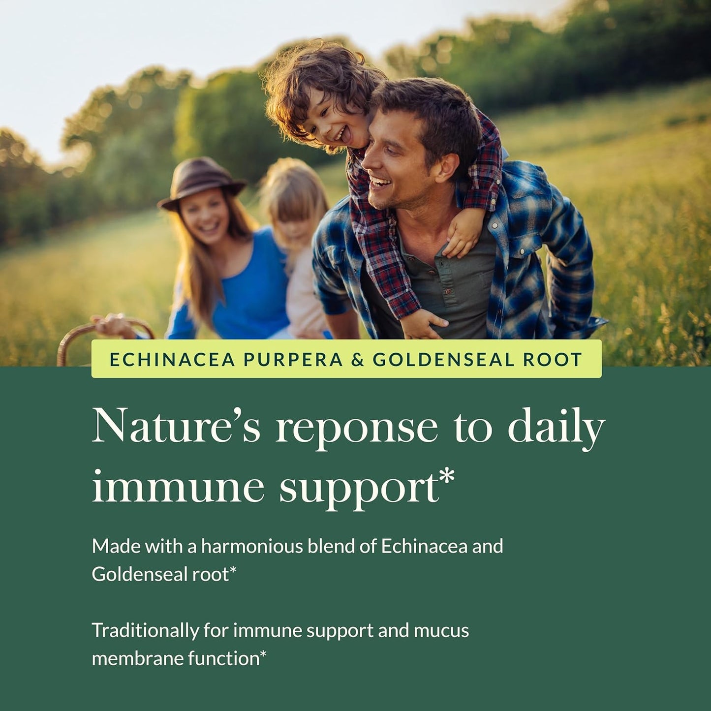 Organic Echinacea Goldenseal Supplement for Healthy Respiratory System - 60 Vegan Capsules