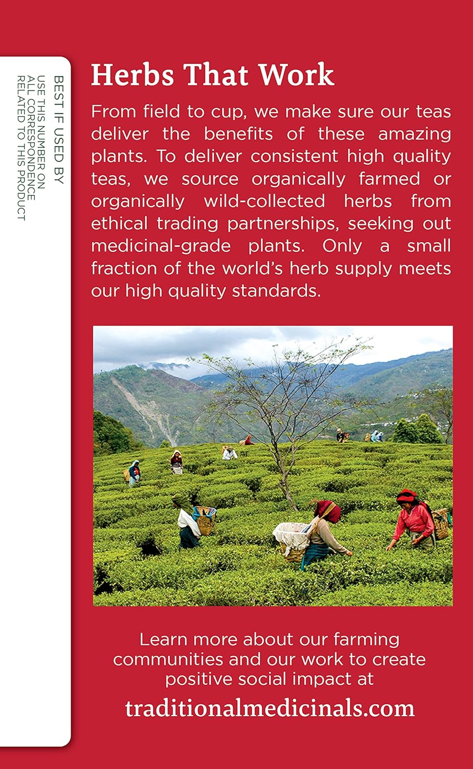 Organic Echinacea Plus Tea Bags - Traditional Medicinals (16 Count)