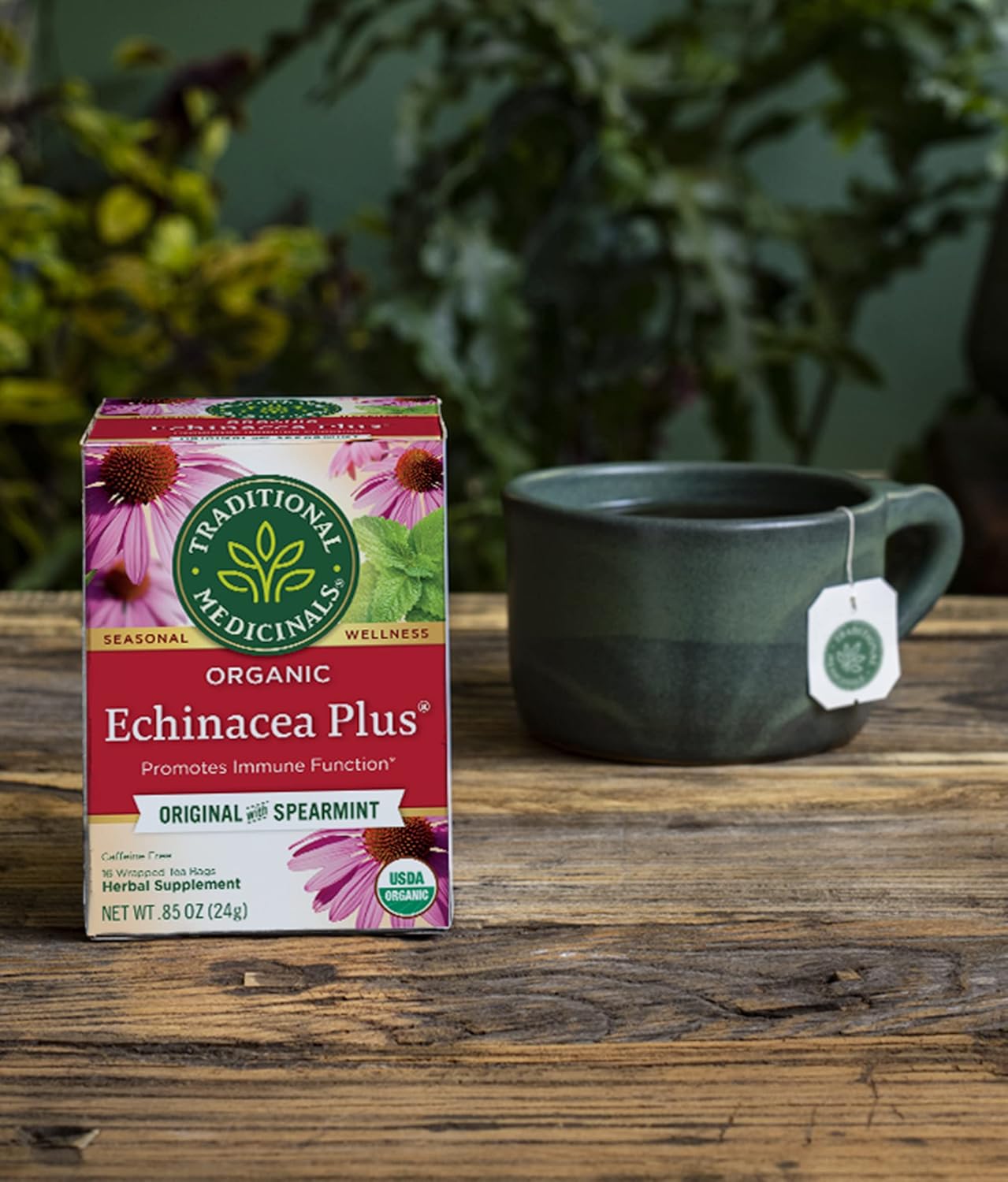 Organic Echinacea Plus Tea Bags - Traditional Medicinals (16 Count)