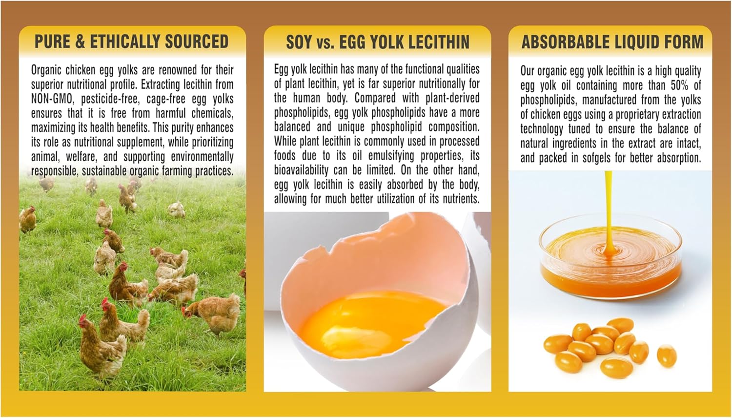 Organic Egg Yolk Lecithin by PHARMAKON - Natural Source of Nutrients for Health and Wellness