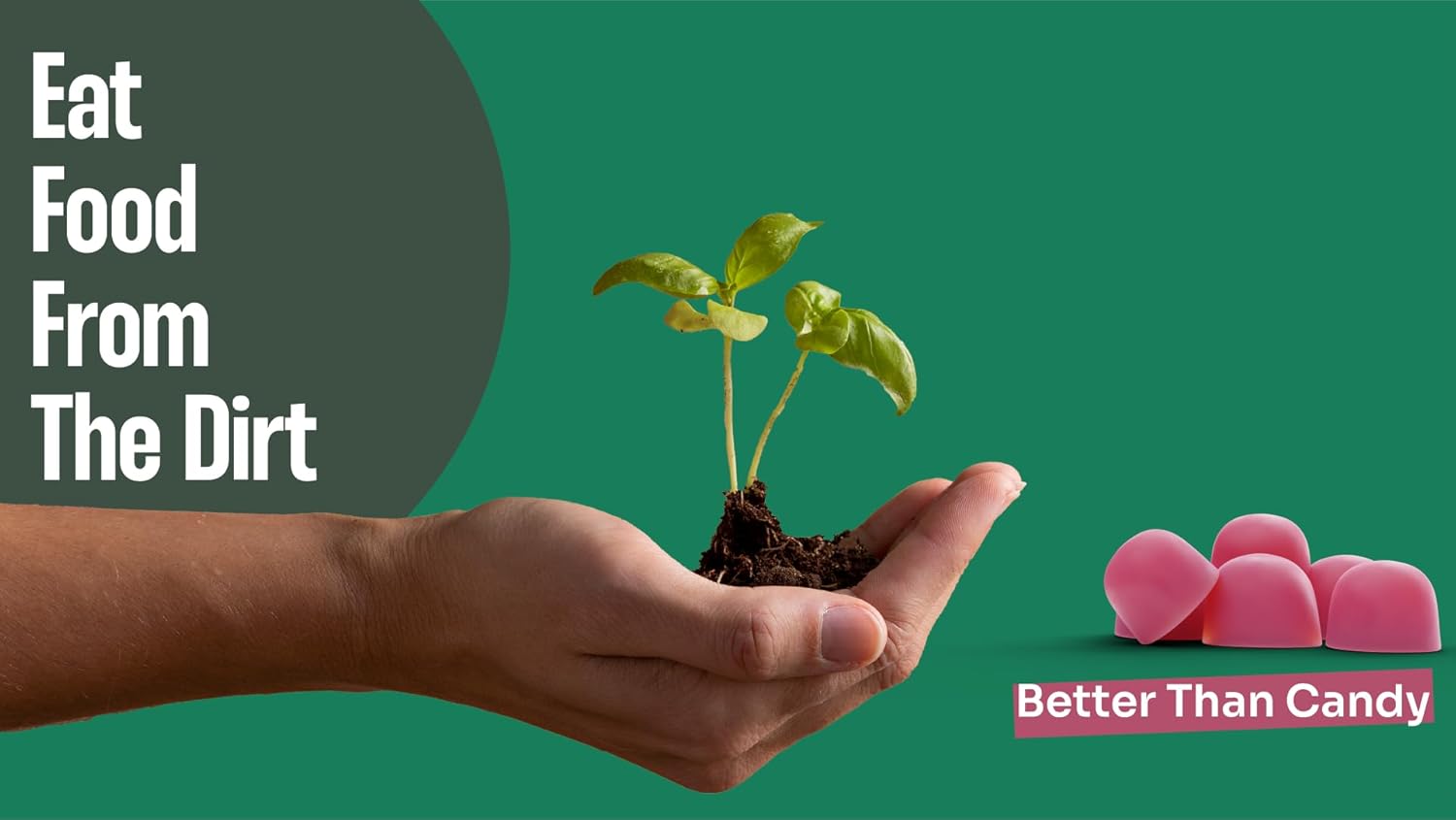 Organic Elderberry Gummies with Zinc & Vitamin C | Dairy-Free Immune Boosting Sambucus Gummies | Antioxidant-Rich Vegan Supplement