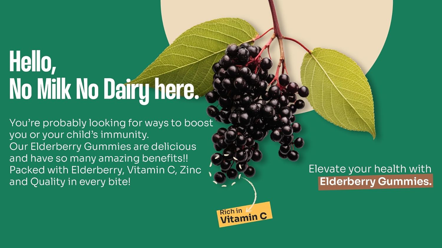 Organic Elderberry Gummies with Zinc & Vitamin C | Dairy-Free Immune Boosting Sambucus Gummies | Antioxidant-Rich Vegan Supplement