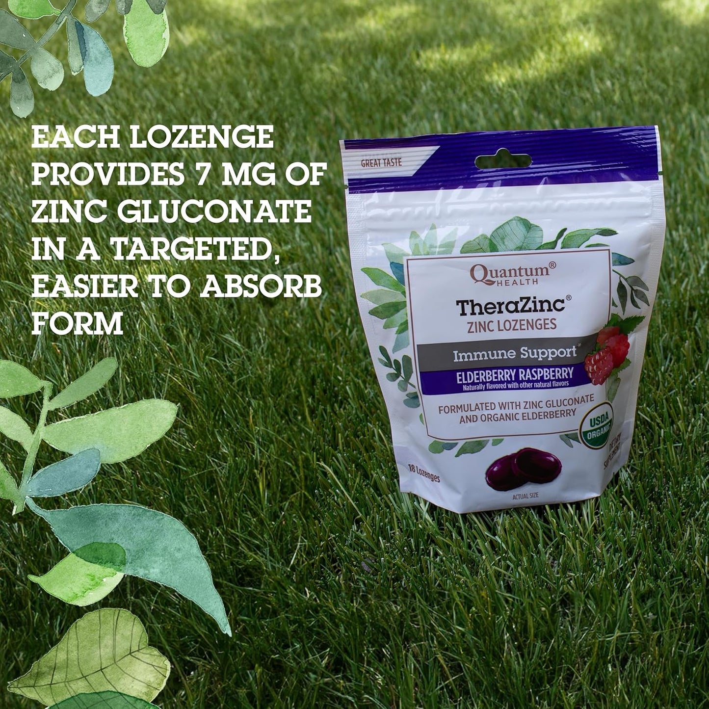 Organic Elderberry Sambucus Raspberry & Honey TheraZinc Lozenges for Immune Support - 18 Count