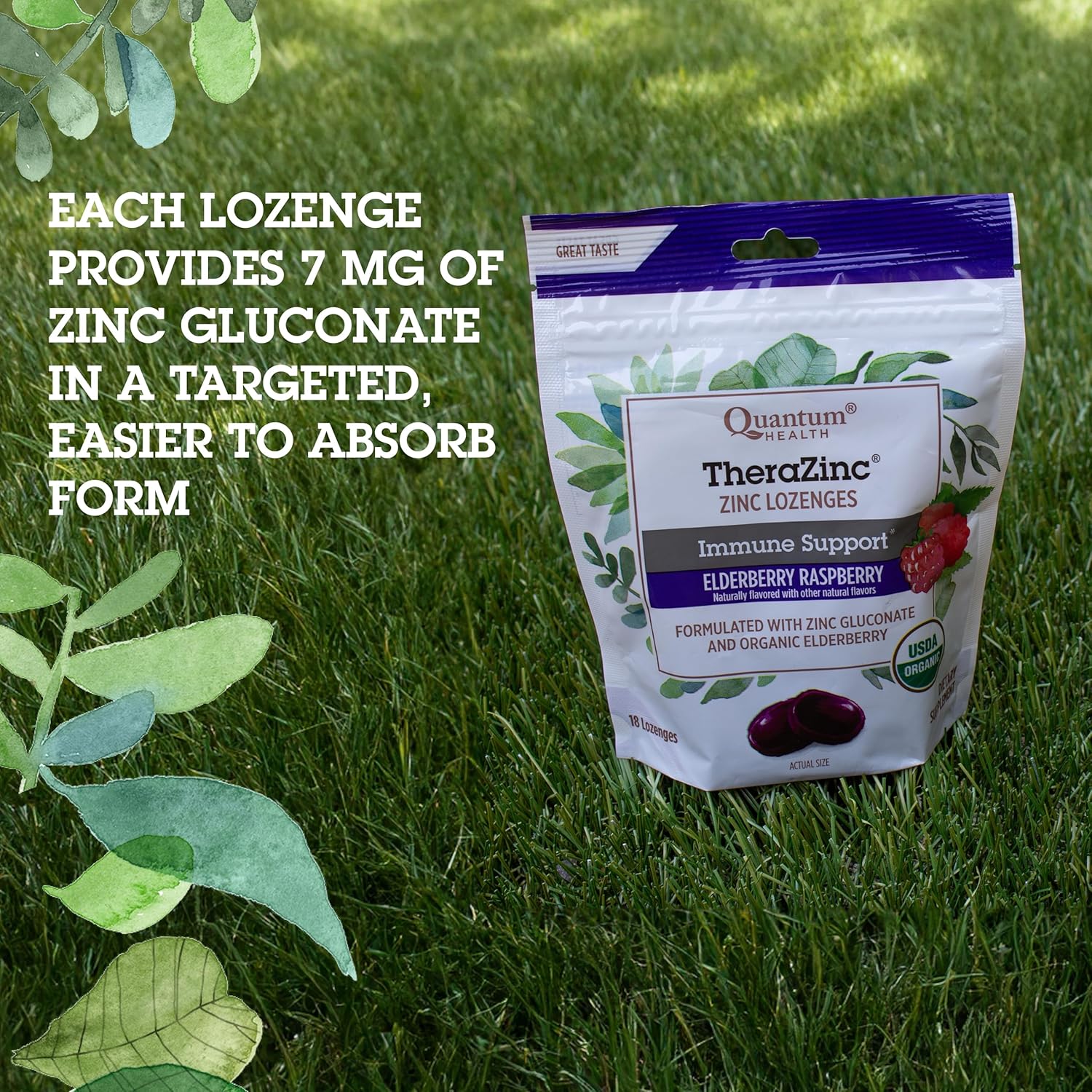 Organic Elderberry Sambucus Raspberry & Honey TheraZinc Lozenges for Immune Support - 18 Count