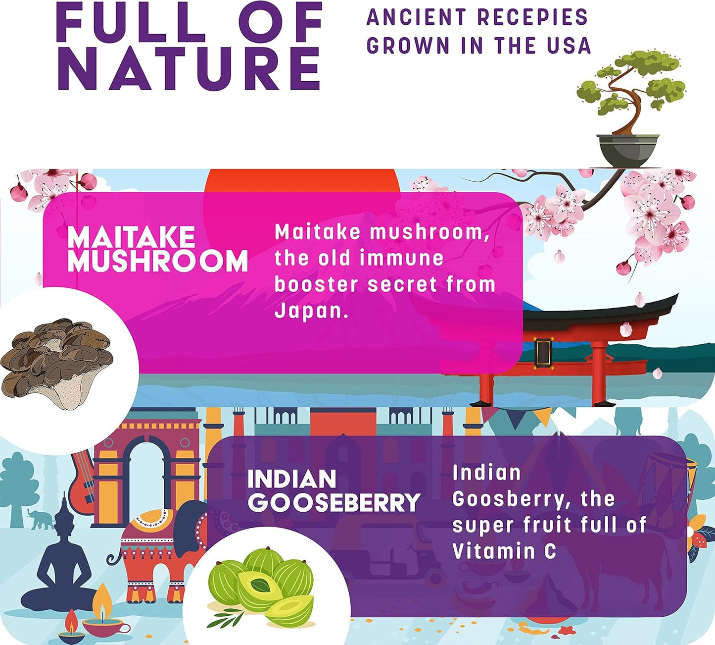 Organic Elderberry Syrup & GreenPeach Liquid Immune Support for Kids - Vitamin C D E Zinc Formula for Children's Immune Health