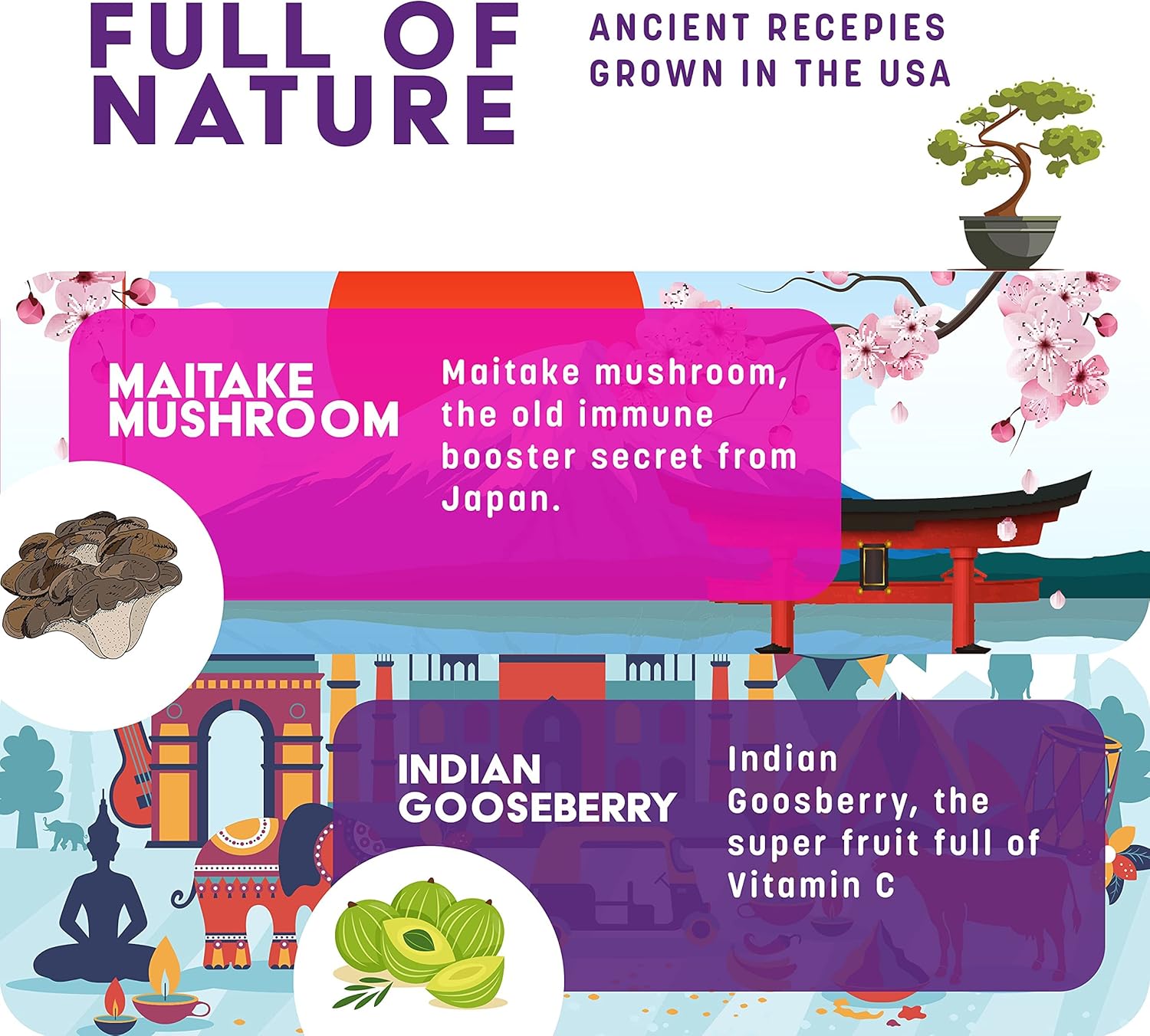 Organic Elderberry Syrup & GreenPeach Liquid Immune Support for Kids - Vitamin C D E Zinc Formula for Children's Immune Health