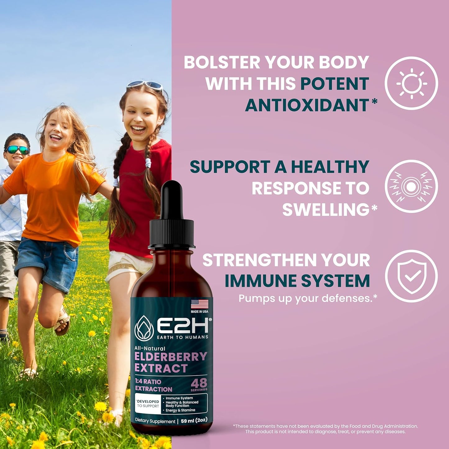 Organic Elderberry Syrup with Antioxidants for Immune Support - Non-GMO, Vegan (2 Bottles)