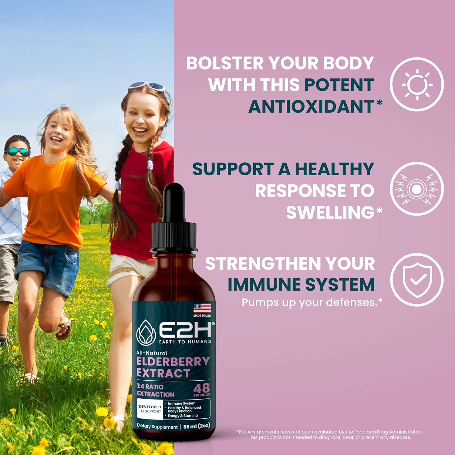 Organic Elderberry Syrup with Antioxidants for Immune Support - Non-GMO, Vegan (2 Bottles)