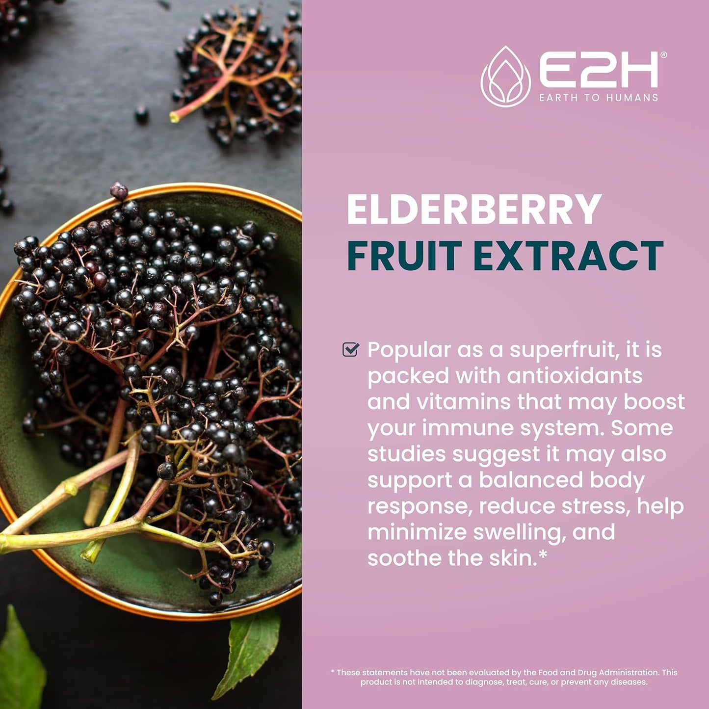 Organic Elderberry Syrup with Antioxidants for Immune Support - Non-GMO, Vegan (2 Bottles)