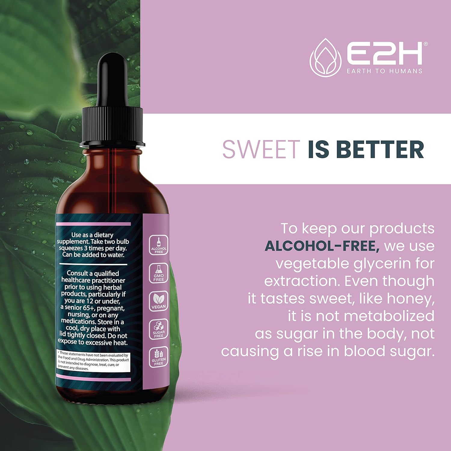 Organic Elderberry Syrup with Antioxidants for Immune Support - Non-GMO, Vegan (2 Bottles)