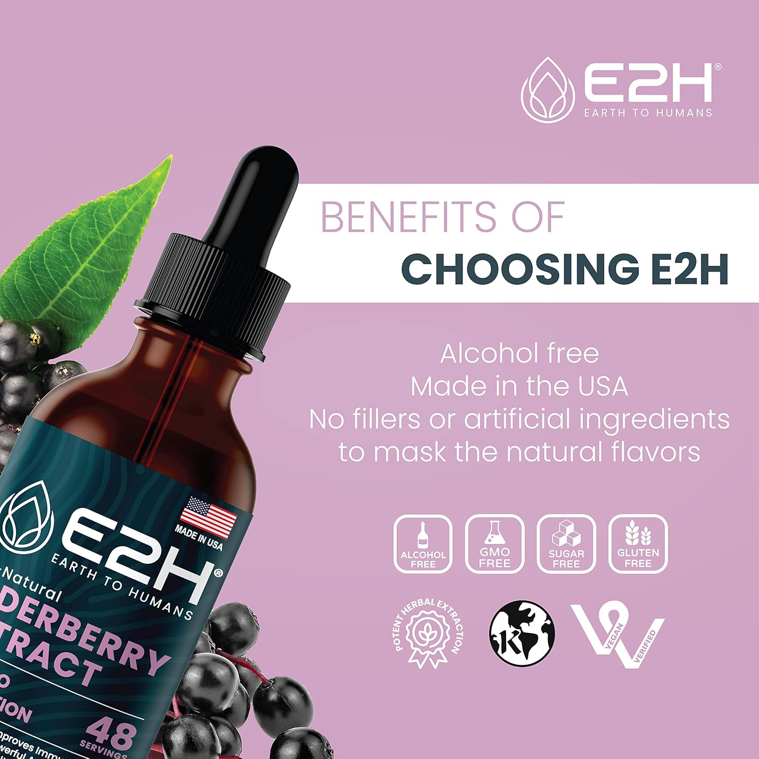 Organic Elderberry Syrup with Antioxidants for Immune Support - Non-GMO, Vegan (2 Bottles)