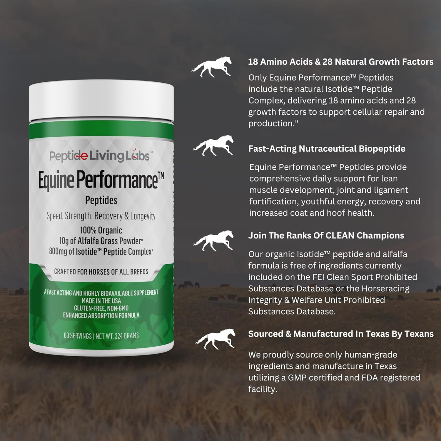 Organic Equine Performance Peptides for Hoof, Joint, Muscle Support & Weight Gain | Horse Feed Supplement | Babcock Ranch Approved