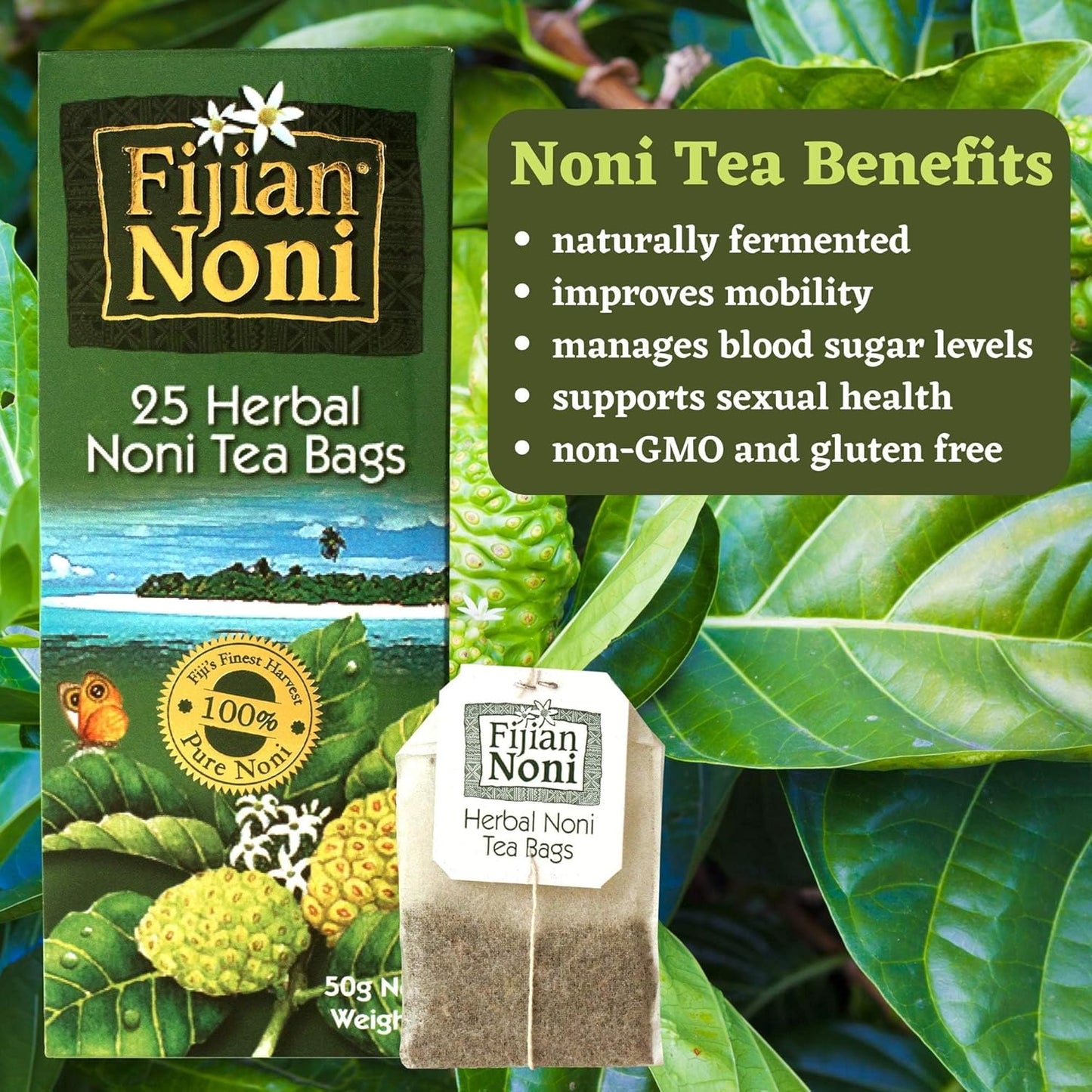 Organic Fijian Noni Herbal Tea with Pure Ceylon Green Tea - 25 Tea Bags (50g) - Made with Noni Fruit Leaves from Fiji