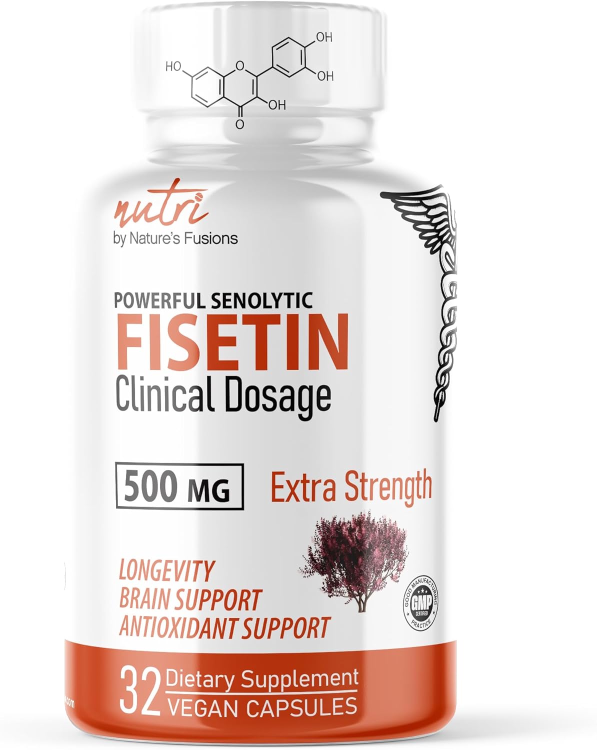Organic Fisetin Supplements - 500mg Clinical Dosage - Powerful Antioxidant & Brain Support - Natural Polyphenols - 32 Count