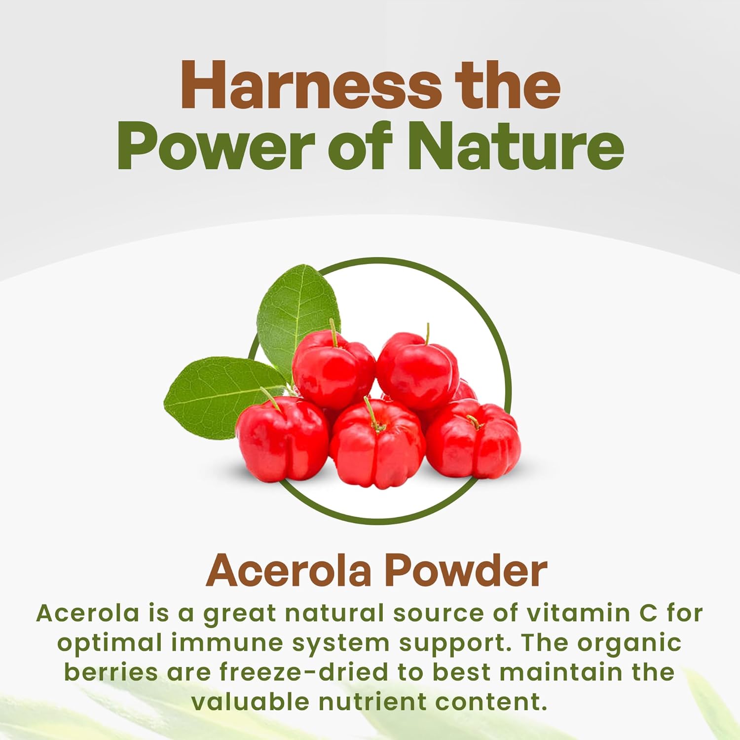 Organic Freeze Dried Acerola Powder from Brazil - High Vitamin C Content - 8oz