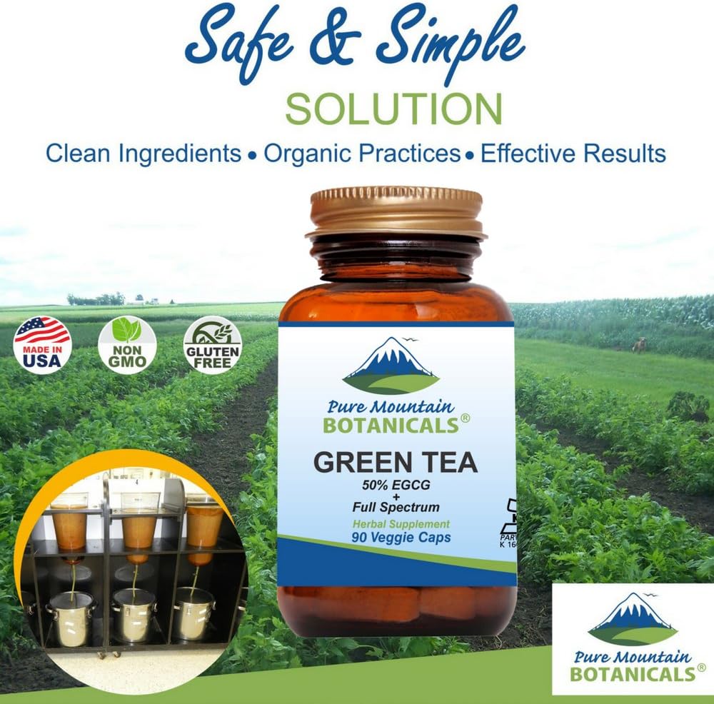 Organic Full Spectrum Green Tea Capsules - 90 Kosher Vegan Caps with 450mg Pure Extract