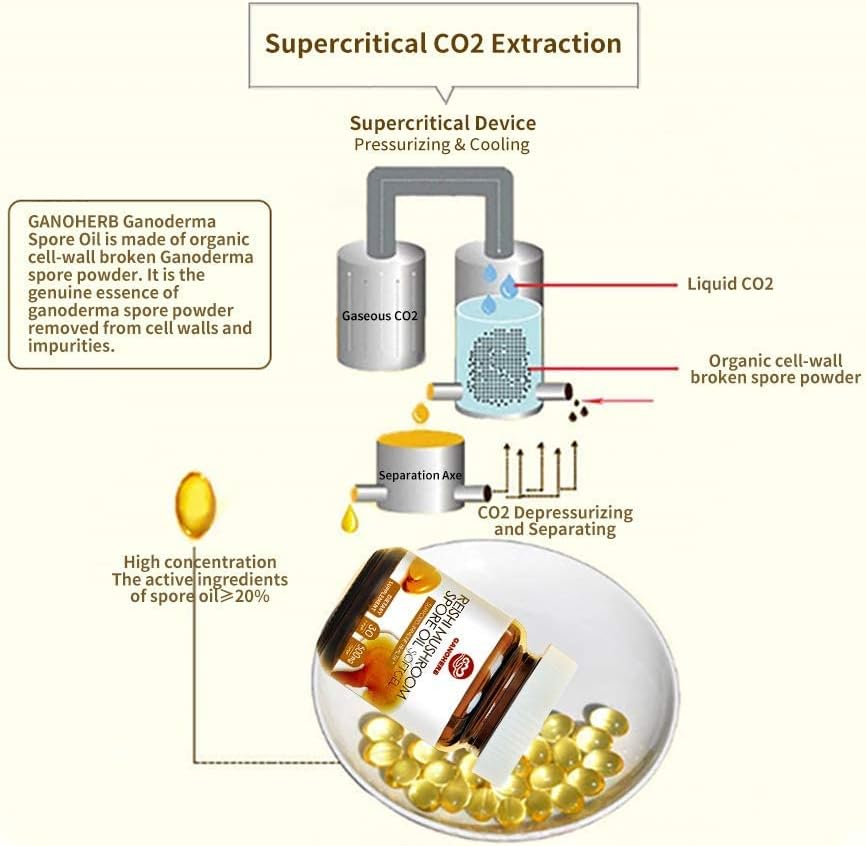 Organic GANOHERB Reishi Mushroom Capsules and Spore Oil for Immune Support