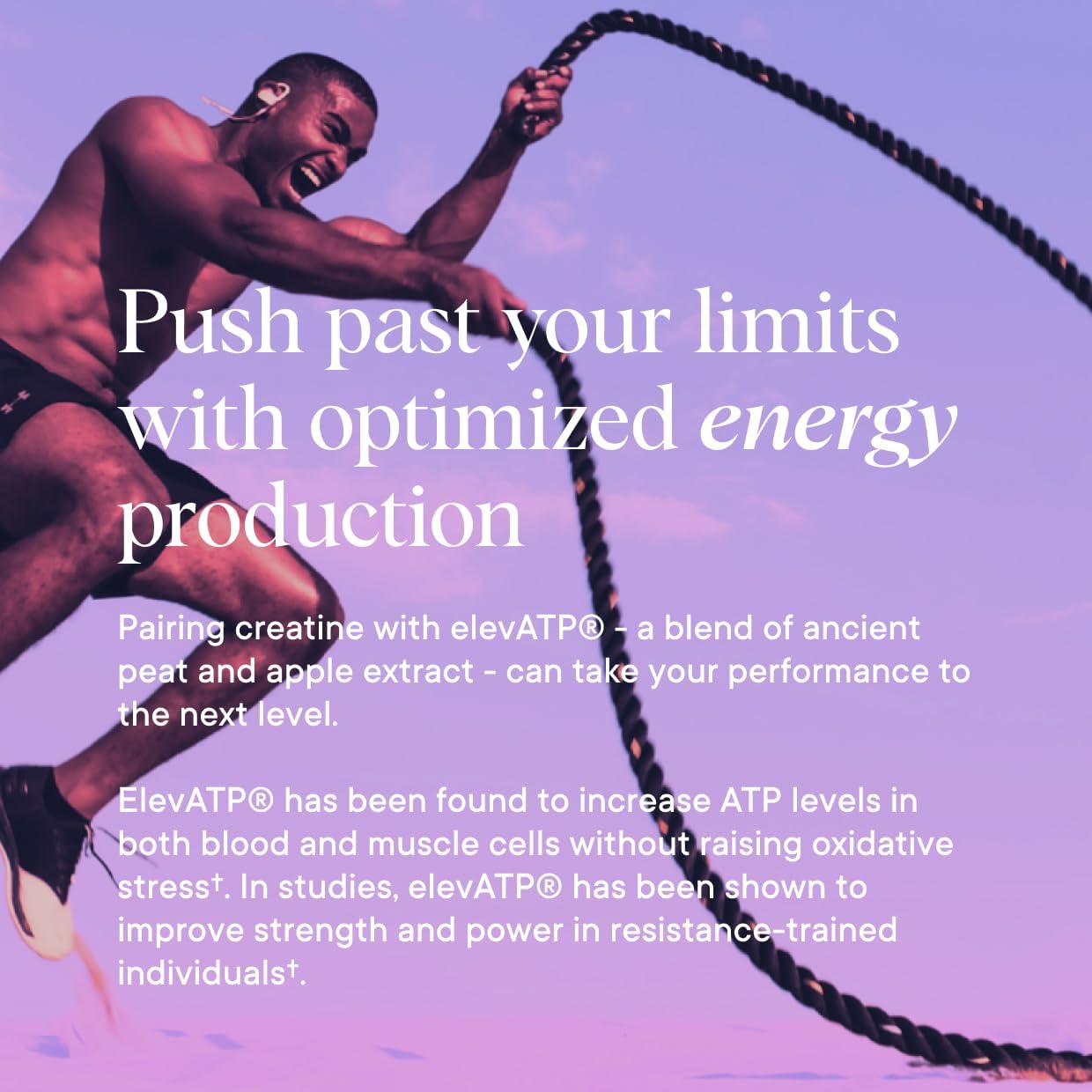 Organic German-Sourced Creatine Monohydrate Powder with Creavitalis for Strength, Energy Support, and Recovery - Acai Berry Flavor, 30 Servings