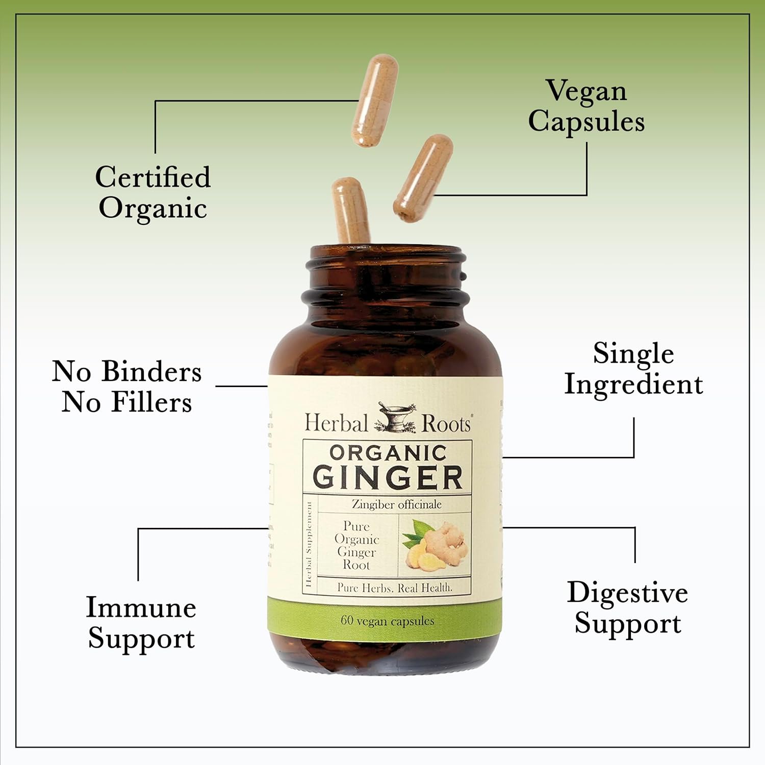 Organic Ginger Root Capsules - 1,200mg Pure Ginger Powder - 60 Vegan Capsules - Herbal Roots Supplement