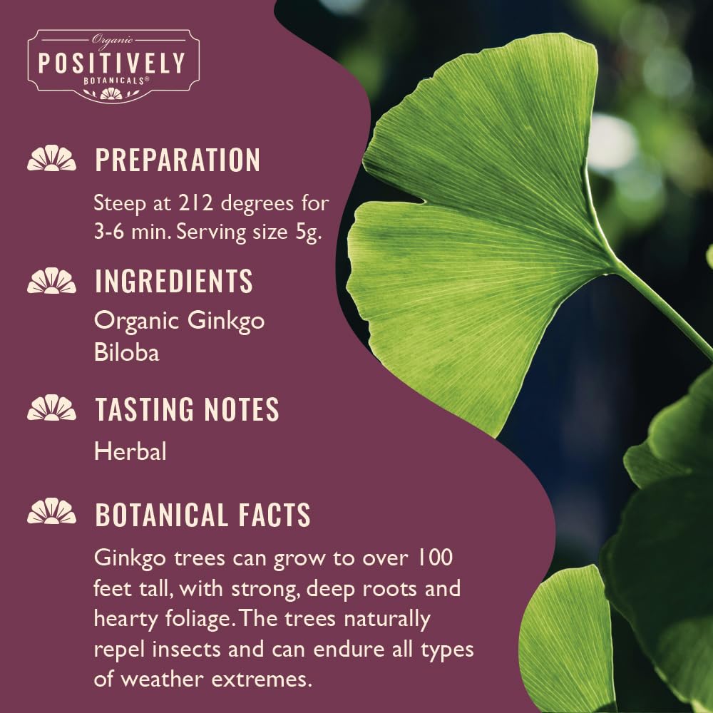 Organic Ginkgo Biloba Herbal Tea Loose Leaf Botanical, 4 Ounce by Positively Tea Company