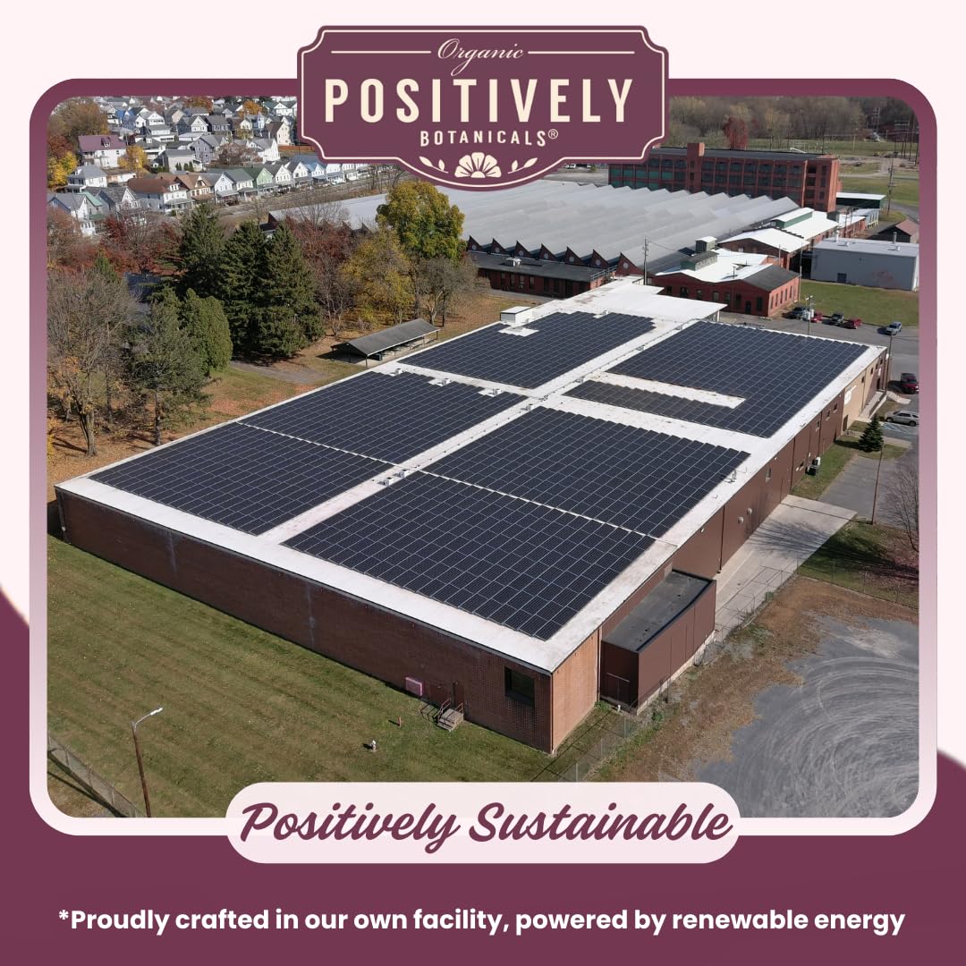 Organic Ginkgo Biloba Herbal Tea Loose Leaf Botanical, 4 Ounce by Positively Tea Company