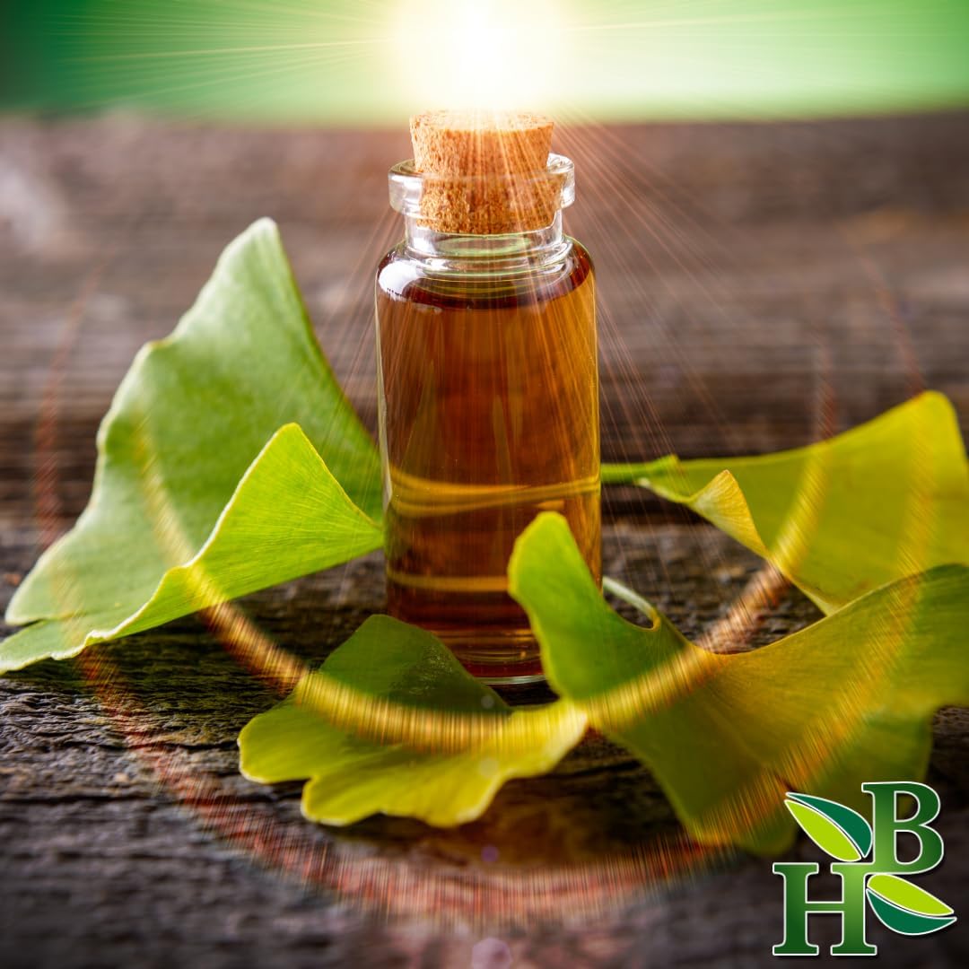 Organic Ginkgo Biloba Leaf C/S - Wildcrafted Herbal Tea Blend - 4oz Packet