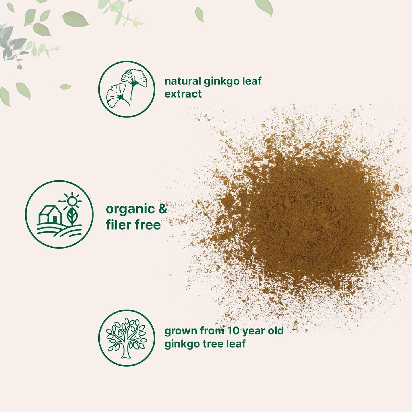 Organic Ginkgo Biloba Powder - 8oz - Brain Function Support - Non-GMO & Vegan - Filler-Free - 18 Month Supply