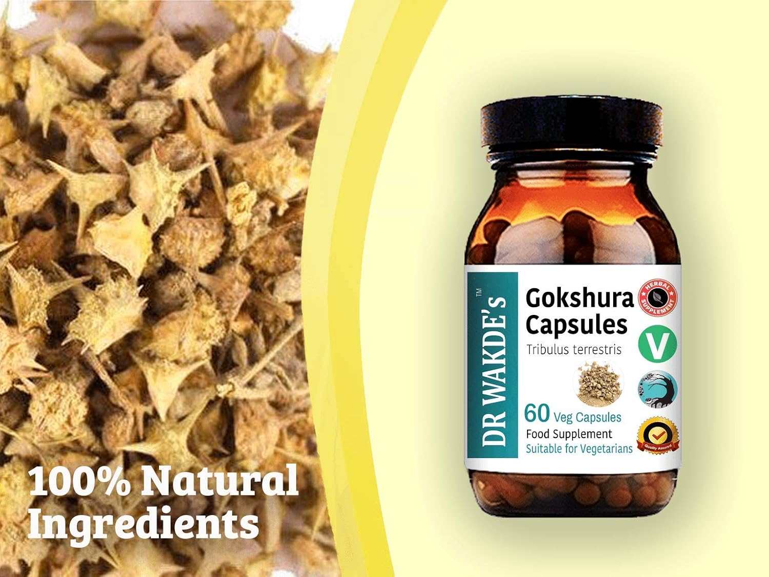 Organic Gokshura Capsules - Ayurvedic Tribulus terrestris Supplement (60 Veg Caps, Plant-Based, Vegan, All Natural) by Dr Wakde