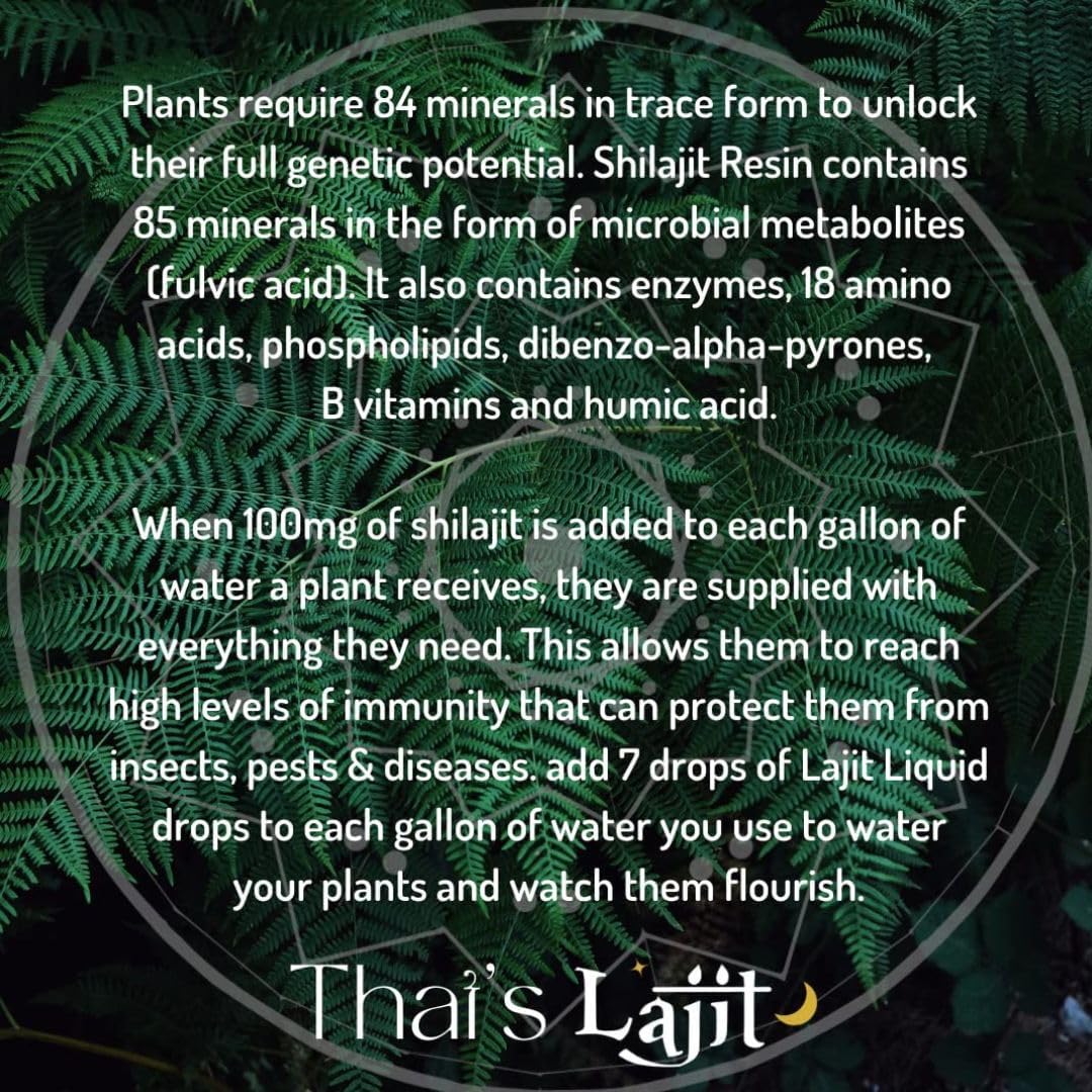 Organic Gold Grade Himalayan Shilajit Liquid Drops | Sourced by Nepalese Sherpas | Lab Tested for Purity | Sundried at 18k Feet