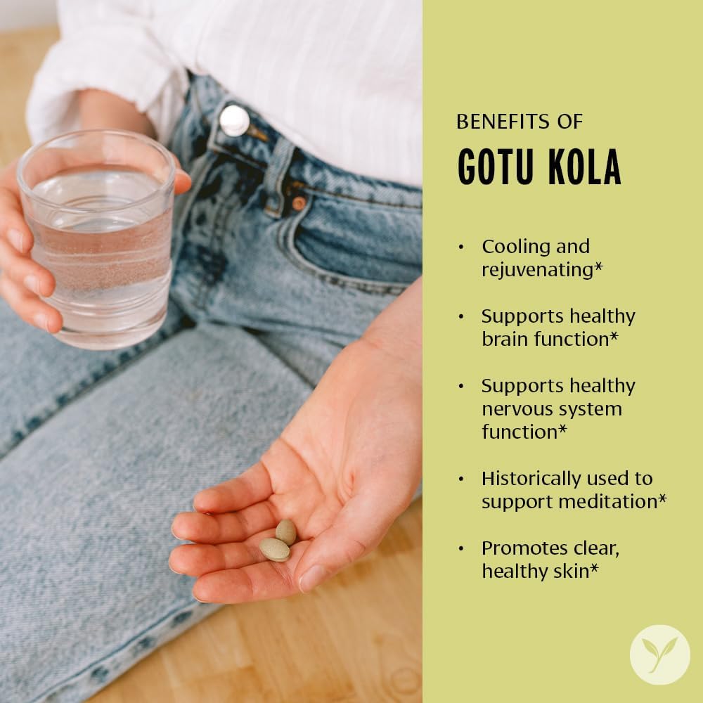 Organic Gotu Kola Tablets for Memory & Concentration - Vegan Nootropic Brain Support Supplement - 90 ct - Fair Trade & Sustainably Sourced