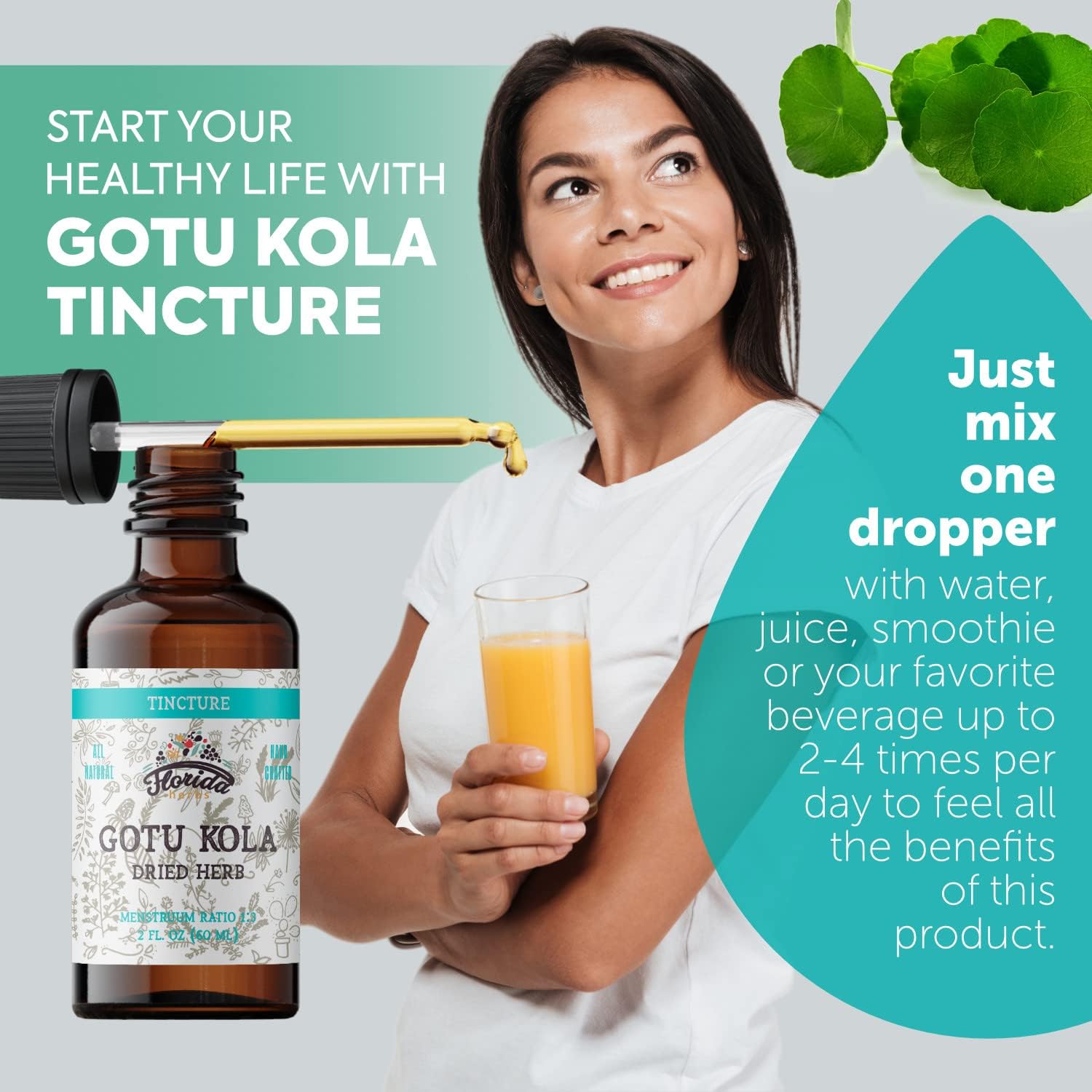 Organic Gotu Kola Tincture - Centella Asiatica Extract Drops from Florida Herbs
