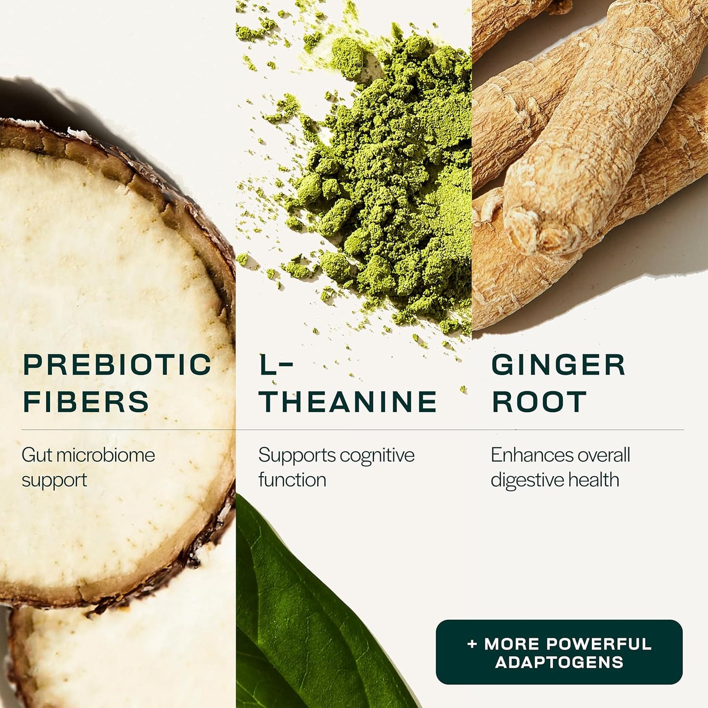 Organic Greens Powder with L Theanine for Gut Health, Energy, Focus, and Immune Support - Coconut Pineapple Flavor, 28 Packets