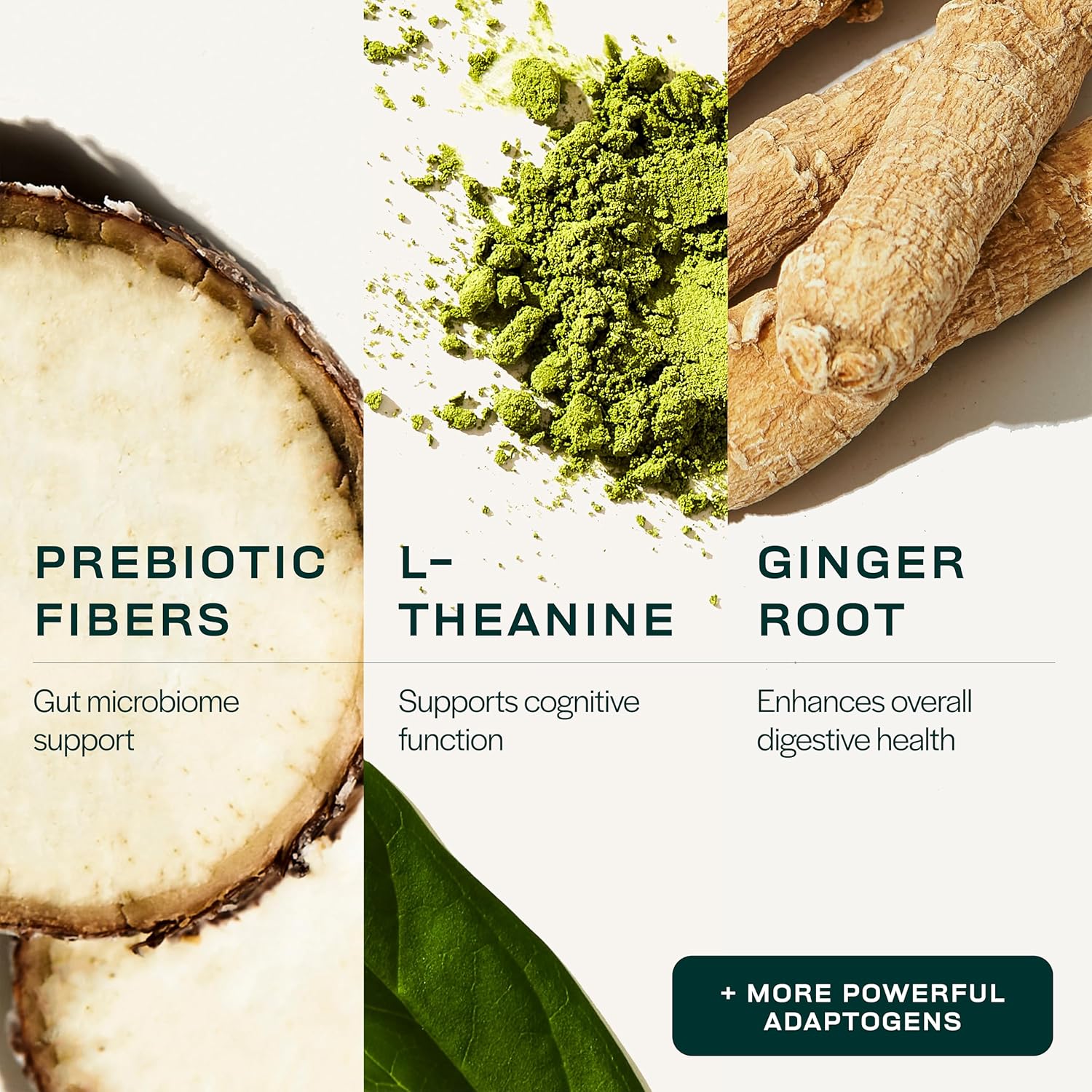 Organic Greens Powder with L Theanine for Gut Health, Energy, Focus, and Immune Support - Coconut Pineapple Flavor, 28 Packets